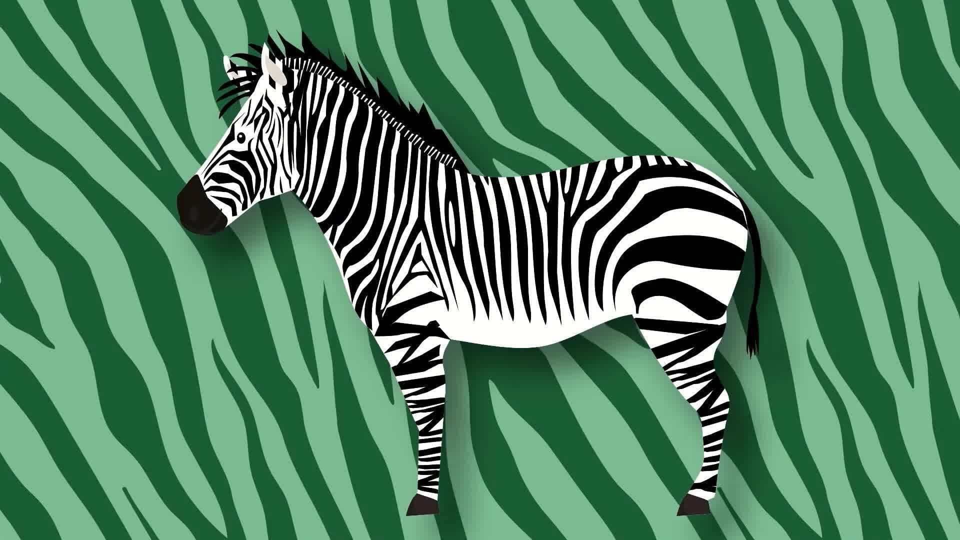 I WONDER - Are There Different Species Of Zebra?