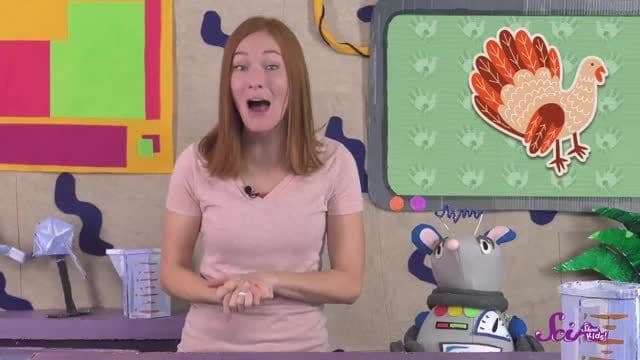 Fun Facts About Turkeys!