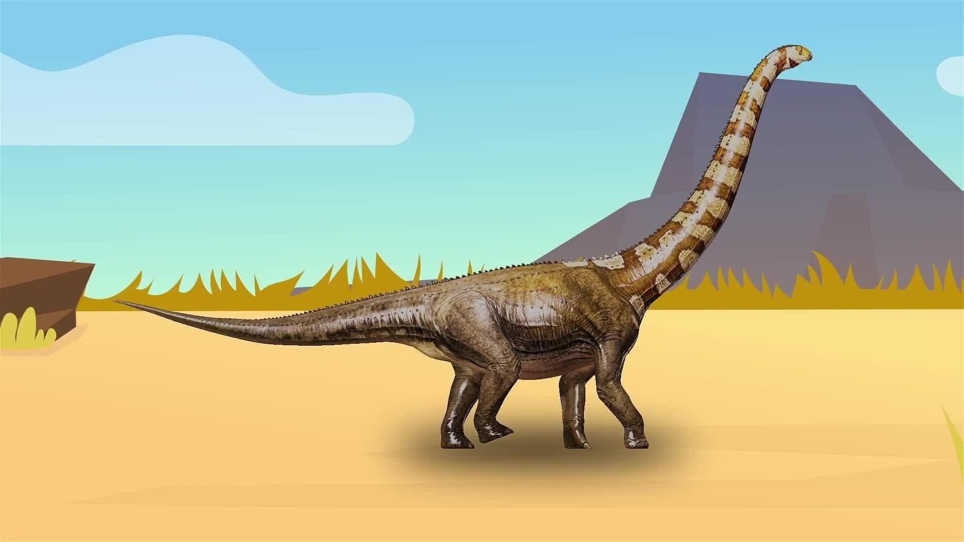 I WONDER - How Big Was The Apatosaurus?