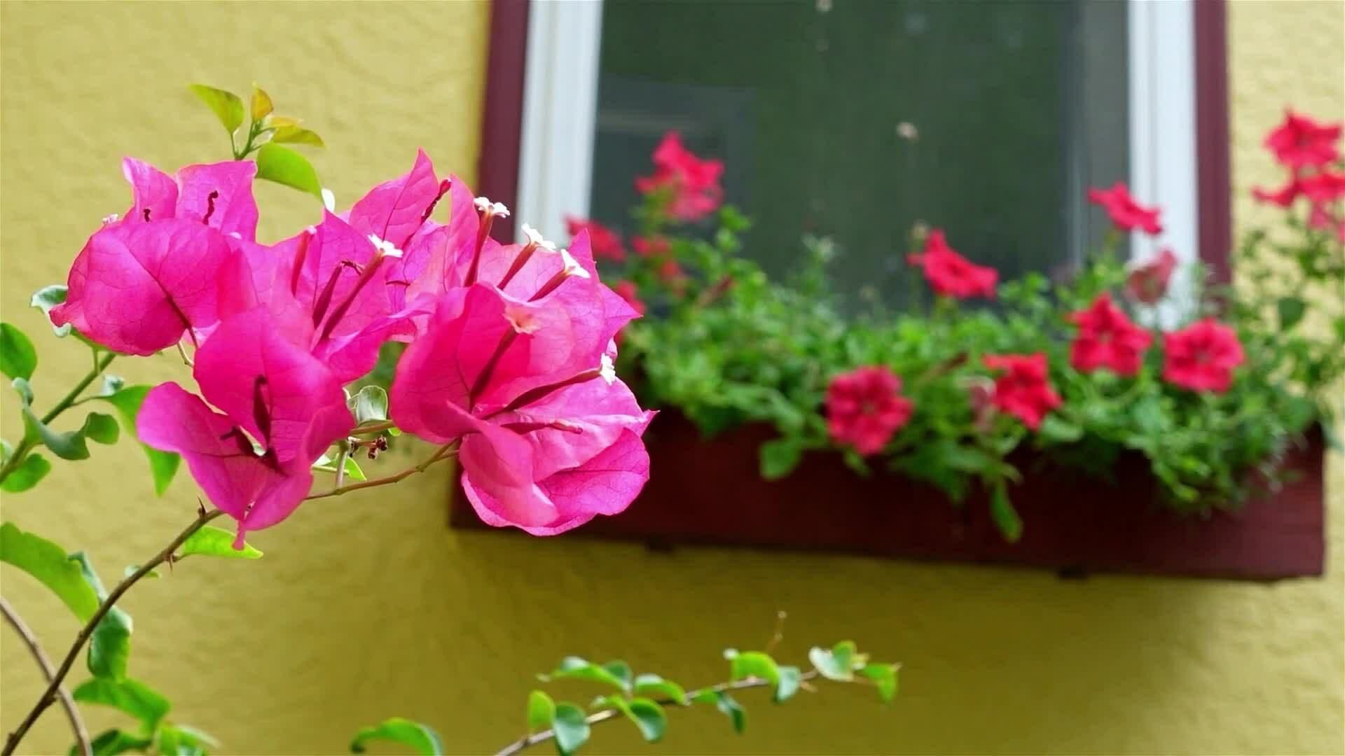 I WONDER - How Do We See Colours?