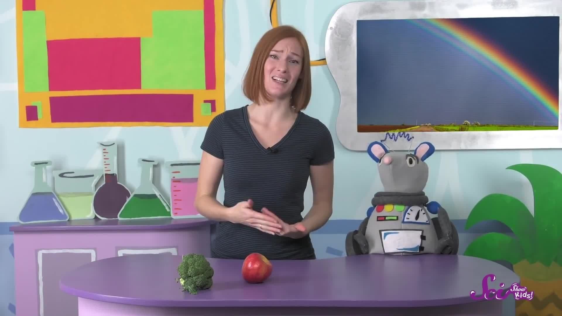 How Do We See Color?