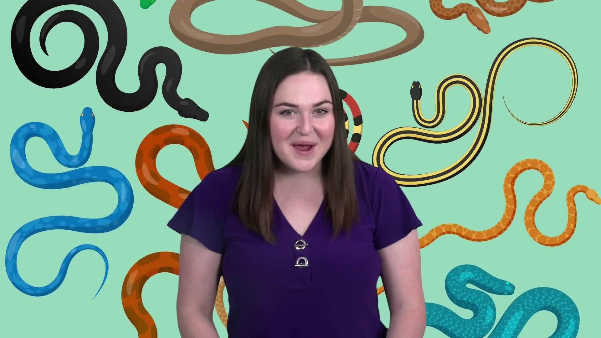 Slithering Marvels: Unveiling the World of Snakes
