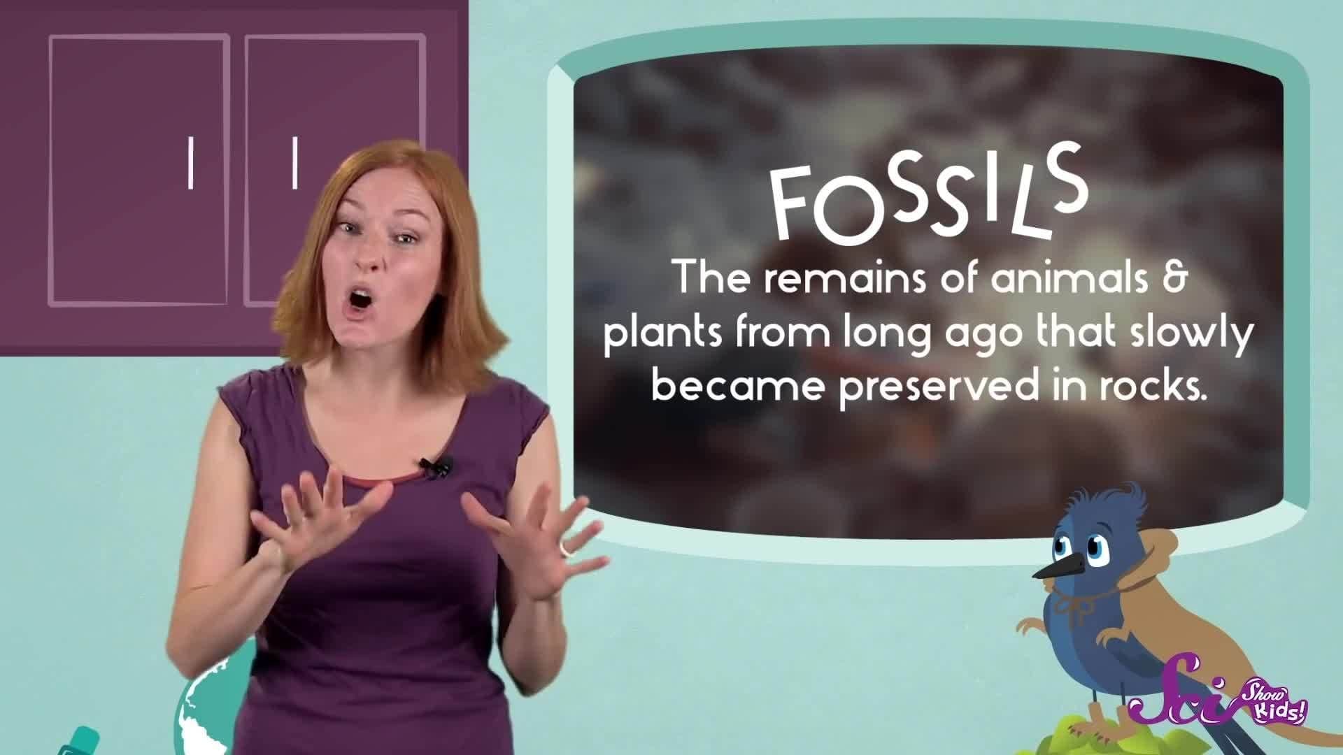 Dig In To Paleontology