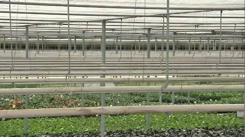 Sustainable Farming: Innovative water conserving farmers