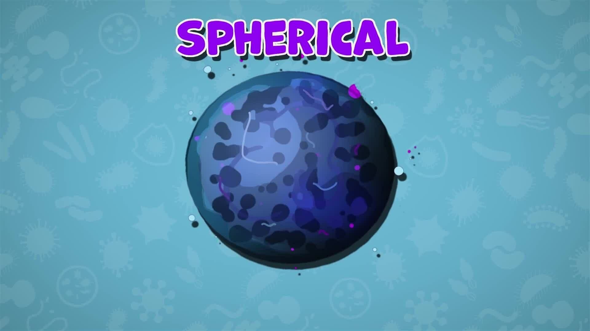 I WONDER - Are There Different Types Of Microorganisms?