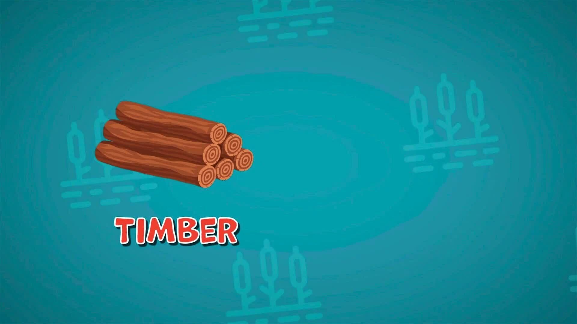 I WONDER - What Materials Can We Get From Swamps?