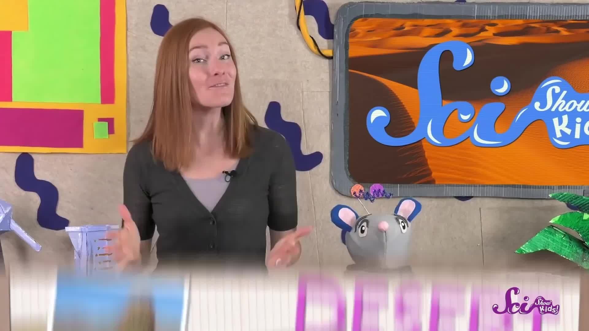 Amazing Ways to Live in the Desert!