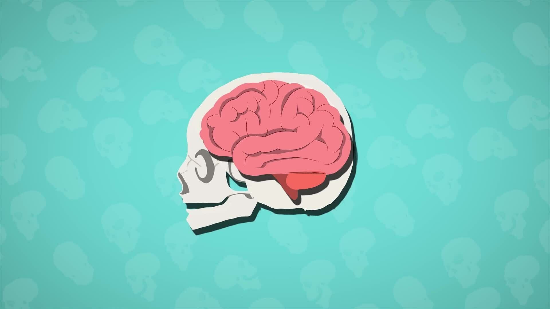 I WONDER - Does The Skull Grow?