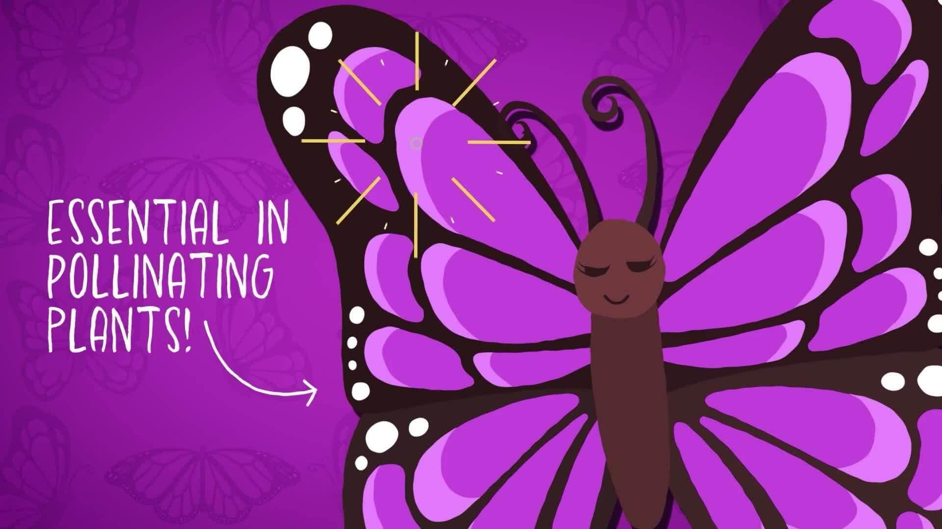 I WONDER - Are Butterflies Pollinators?