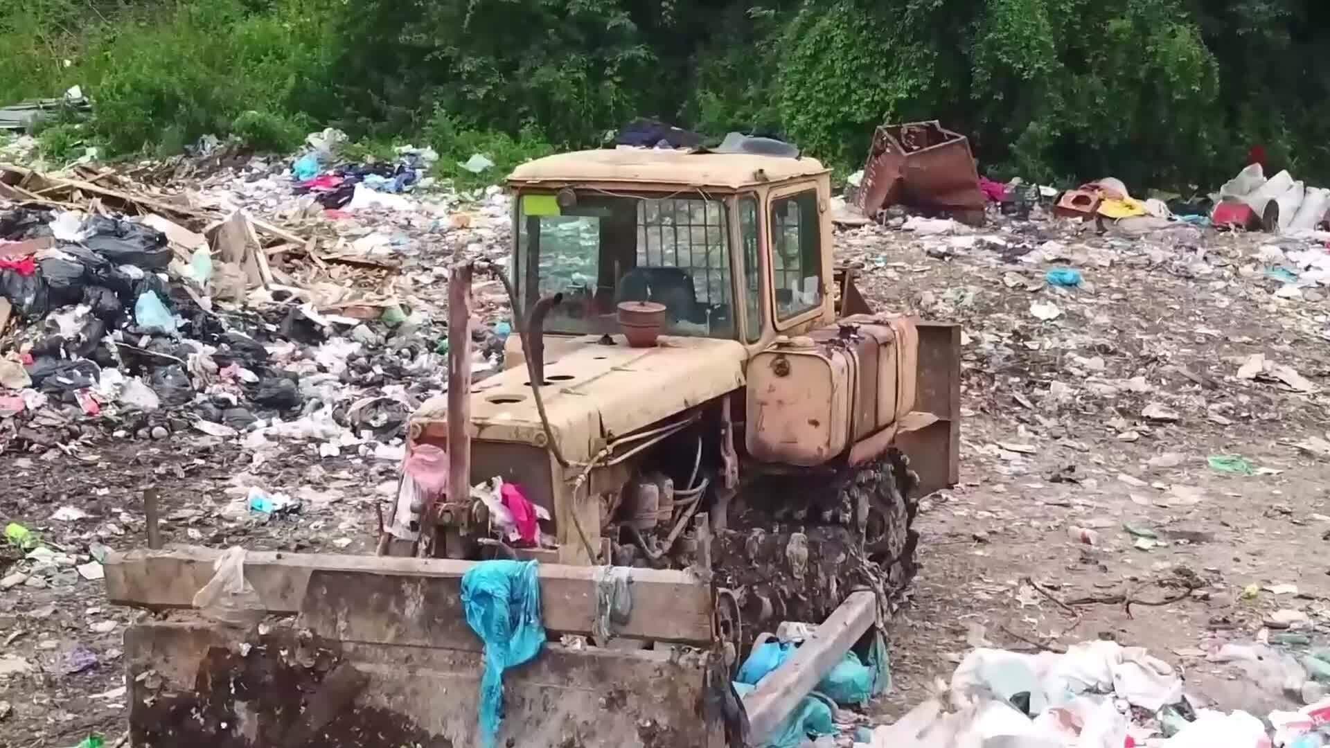 I WONDER - How Does Wasting Food Impact The Environment?