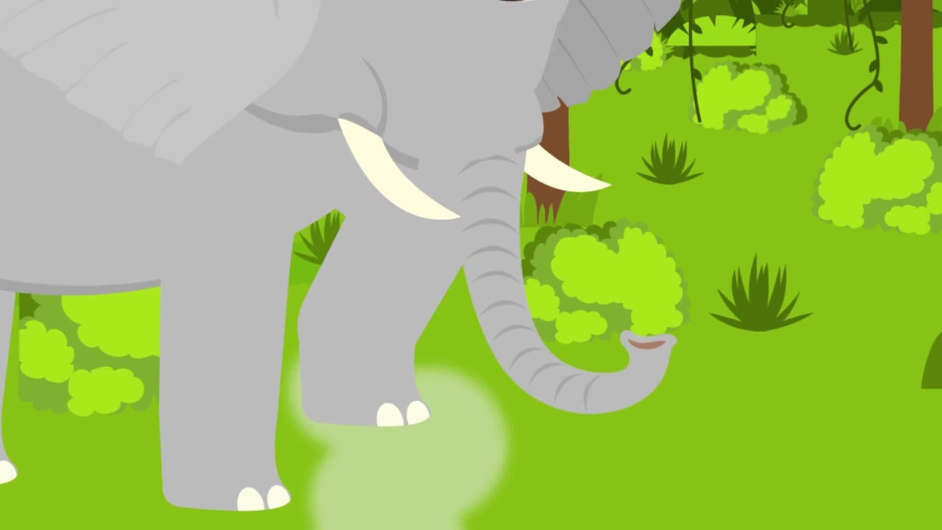 Jungle Song