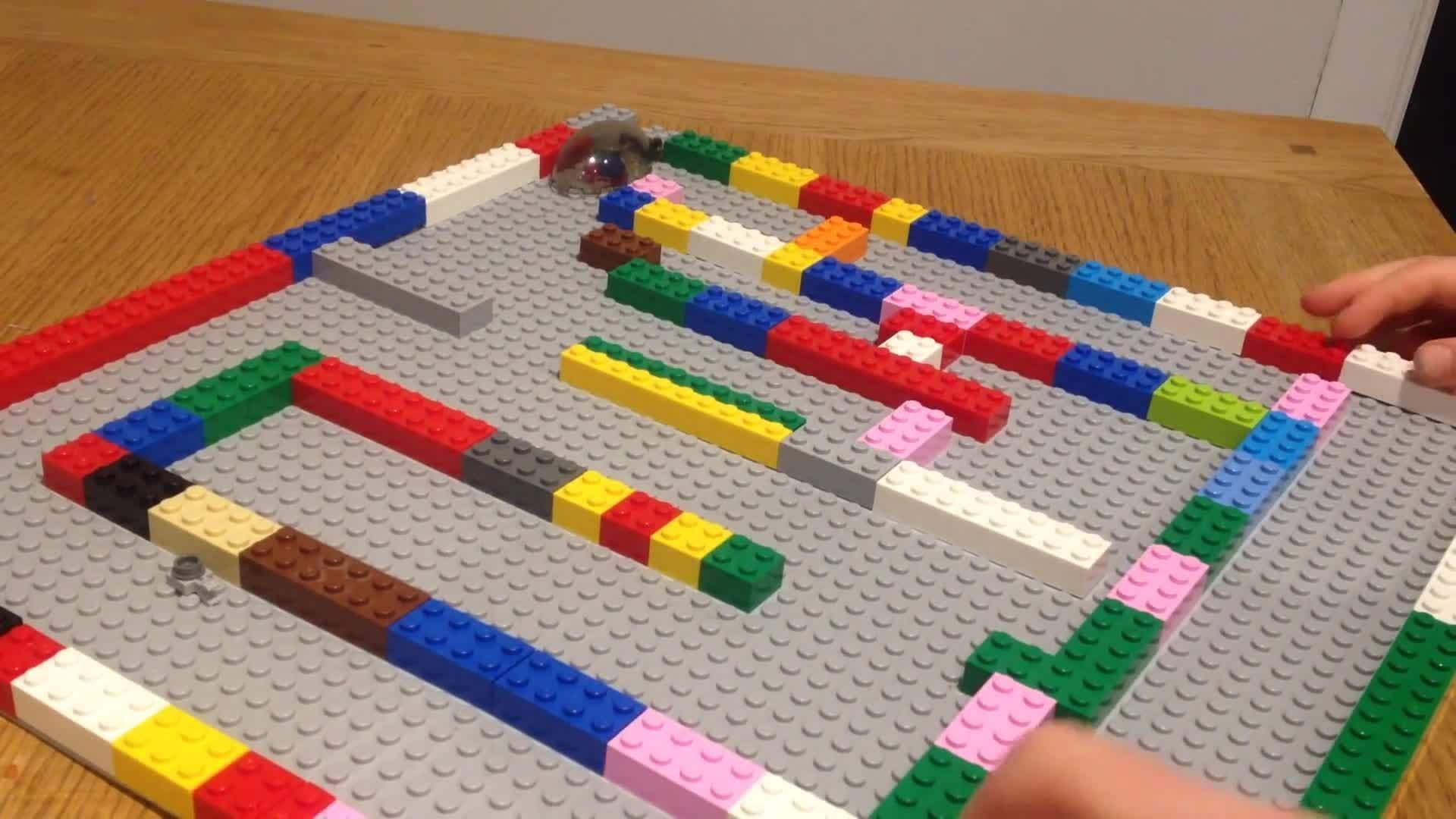 LEGO MAGNET MAZE