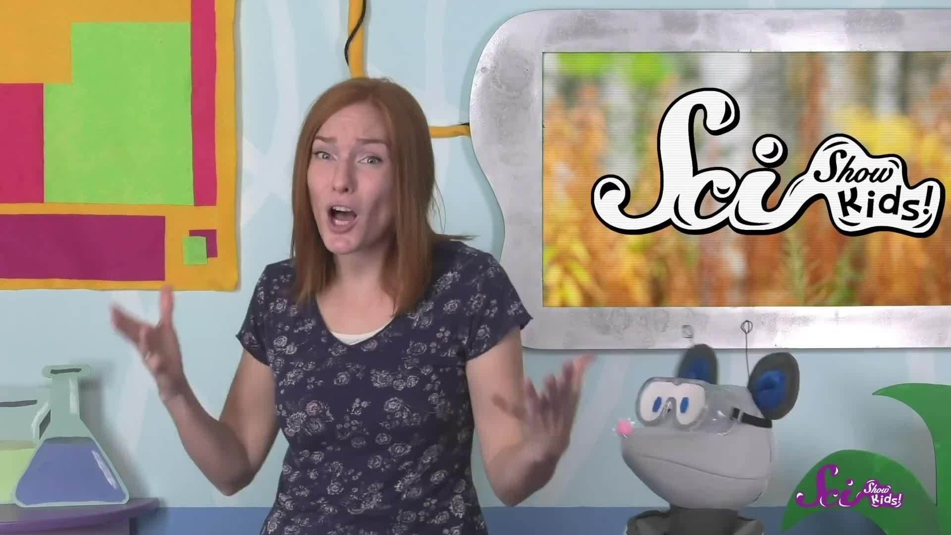 Story Time: A Very Special Moth