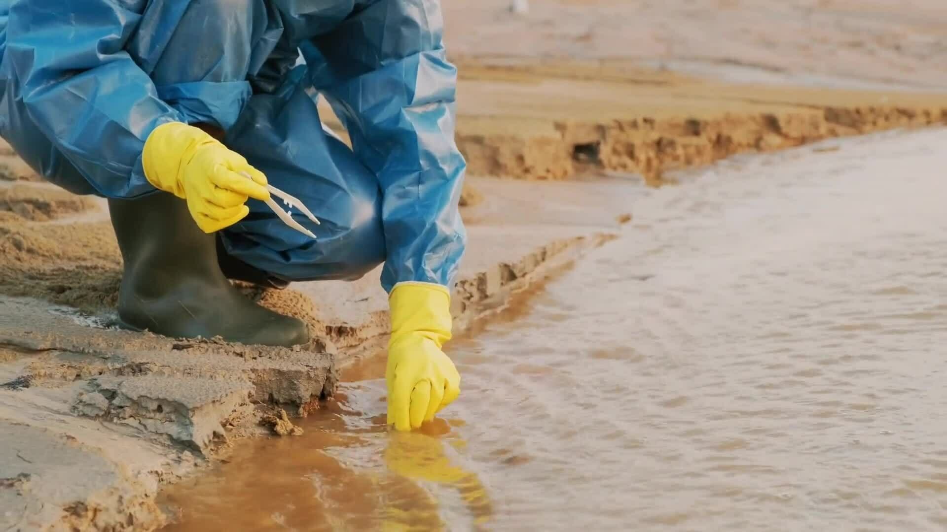 Protecting Our Oceans: Laws, Cleanup, and Action