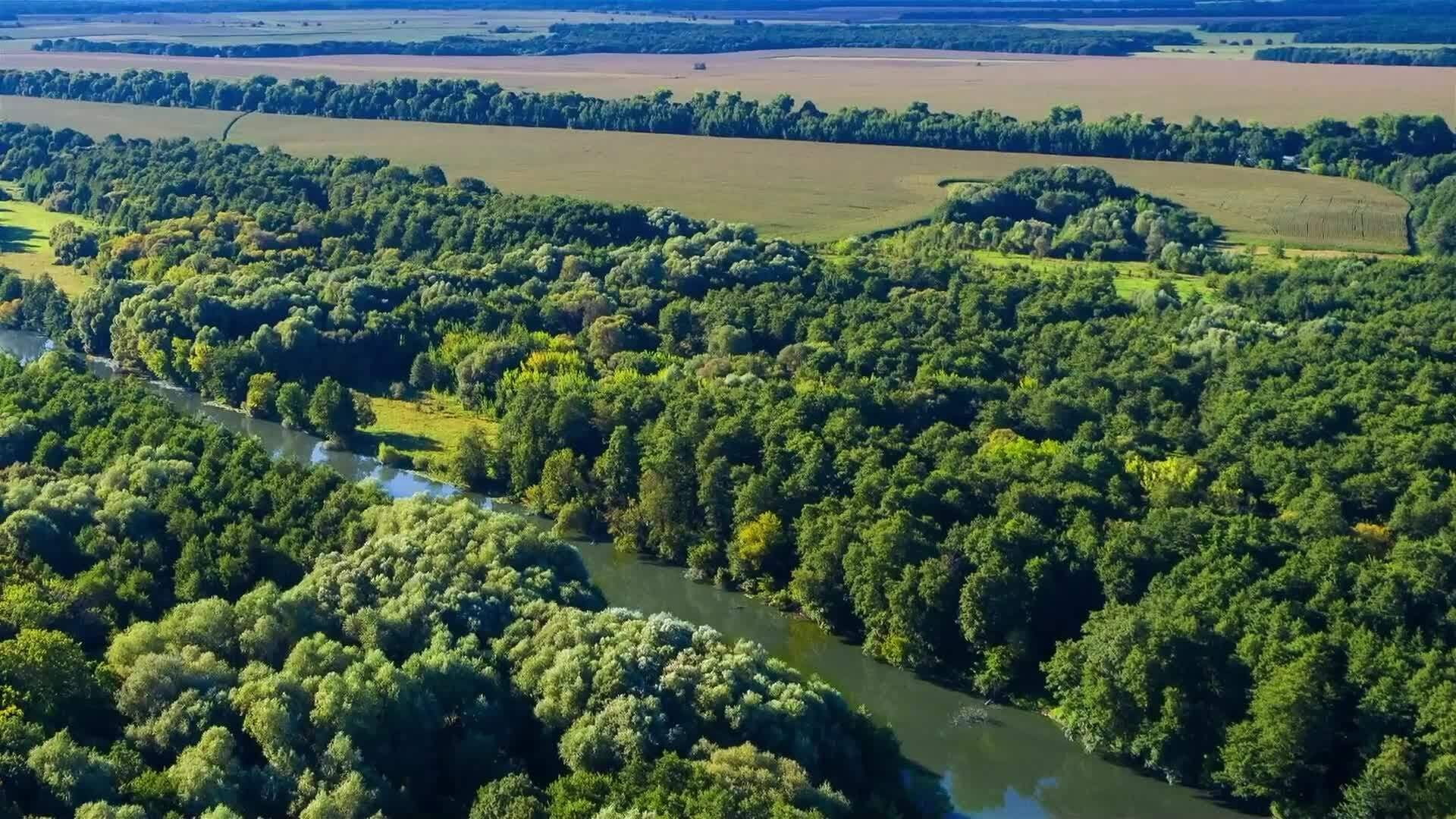 I WONDER - What Ecosystems Are There On The Galapagos?