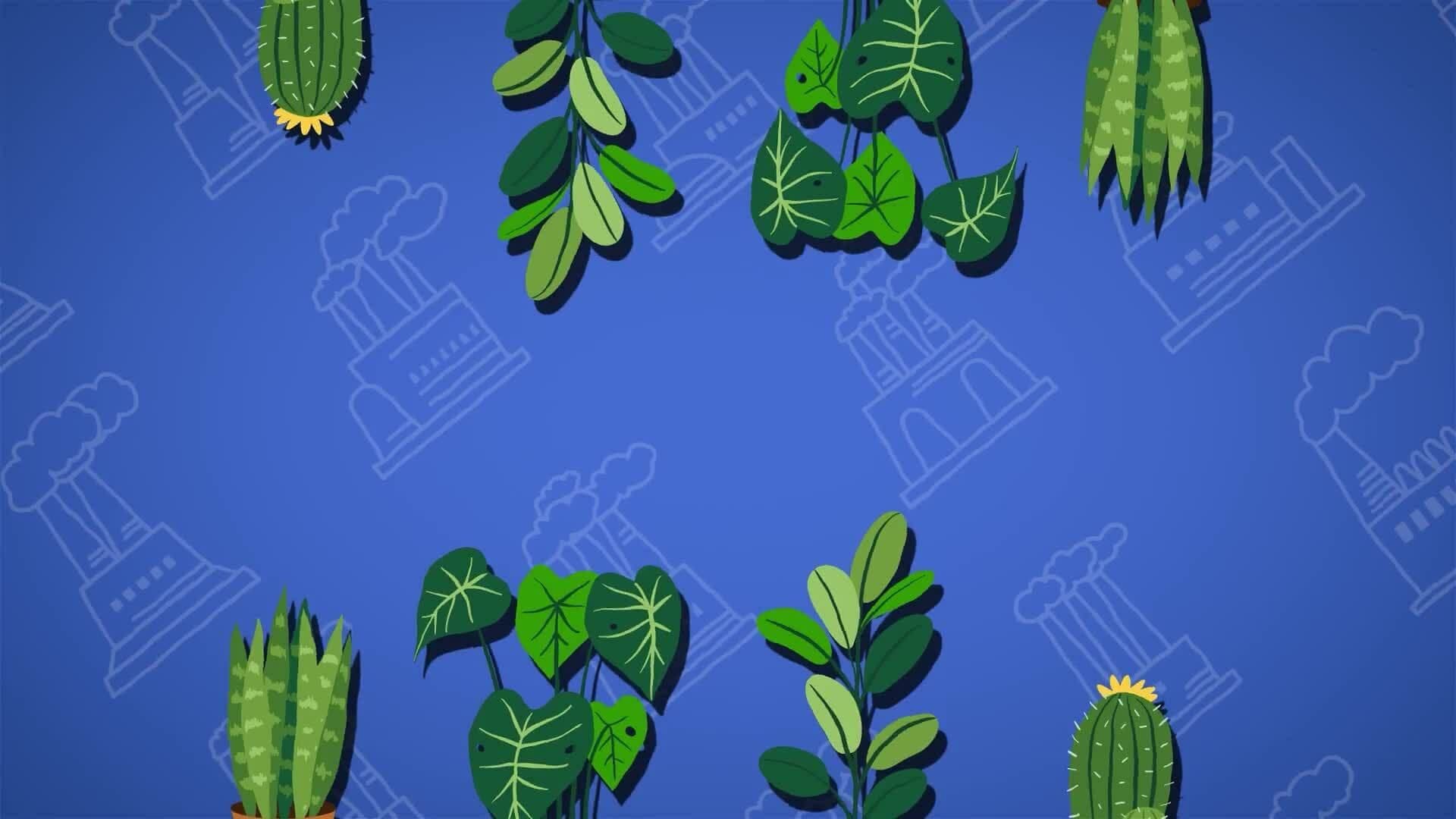 I WONDER - Can House Plants Reduce Air Pollution?
