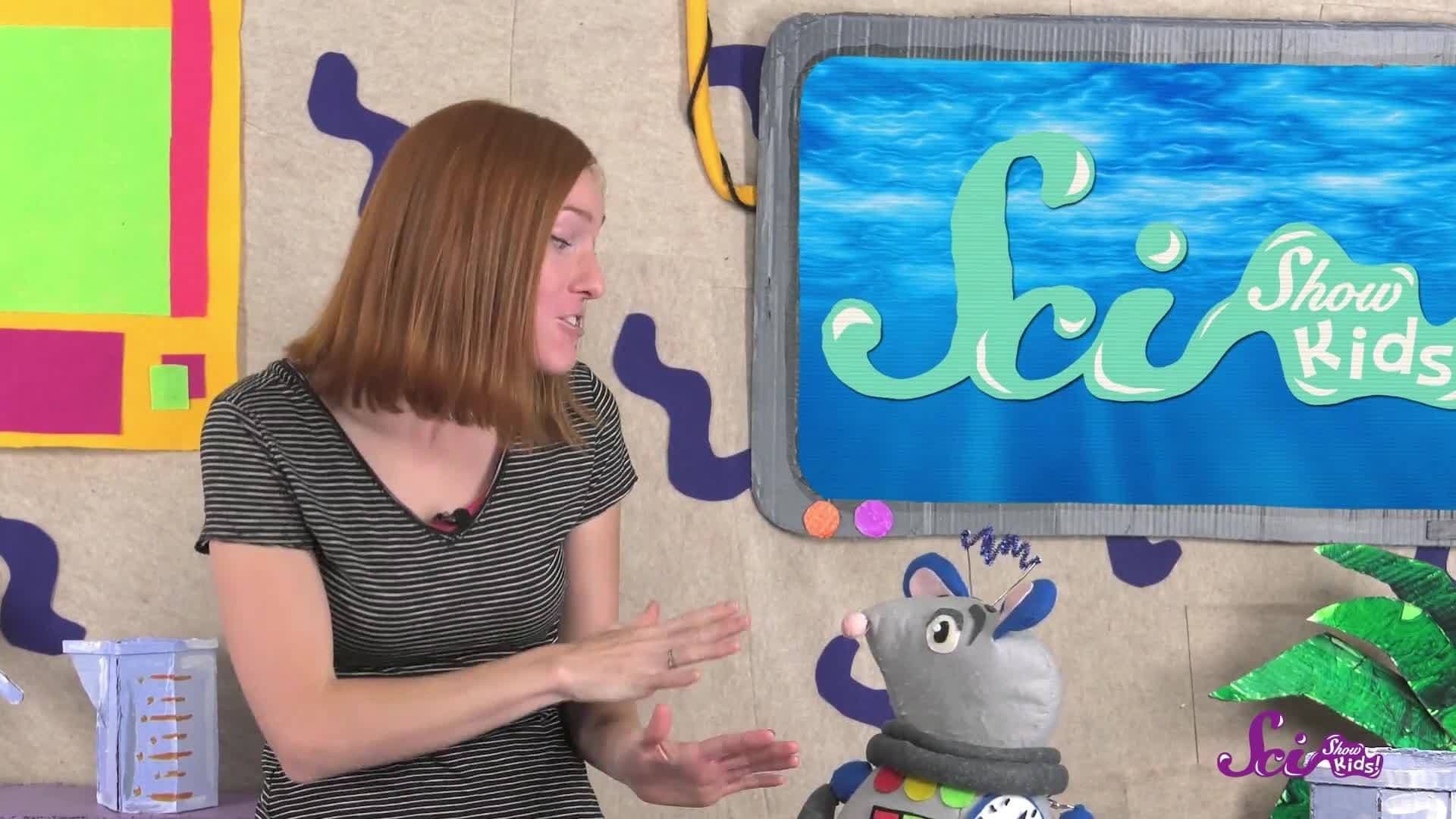 The Tallest Waterfall in the World!