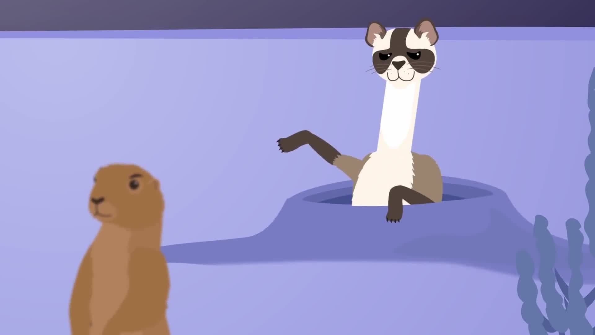 Whizpops! Black Footed Ferret Music Video