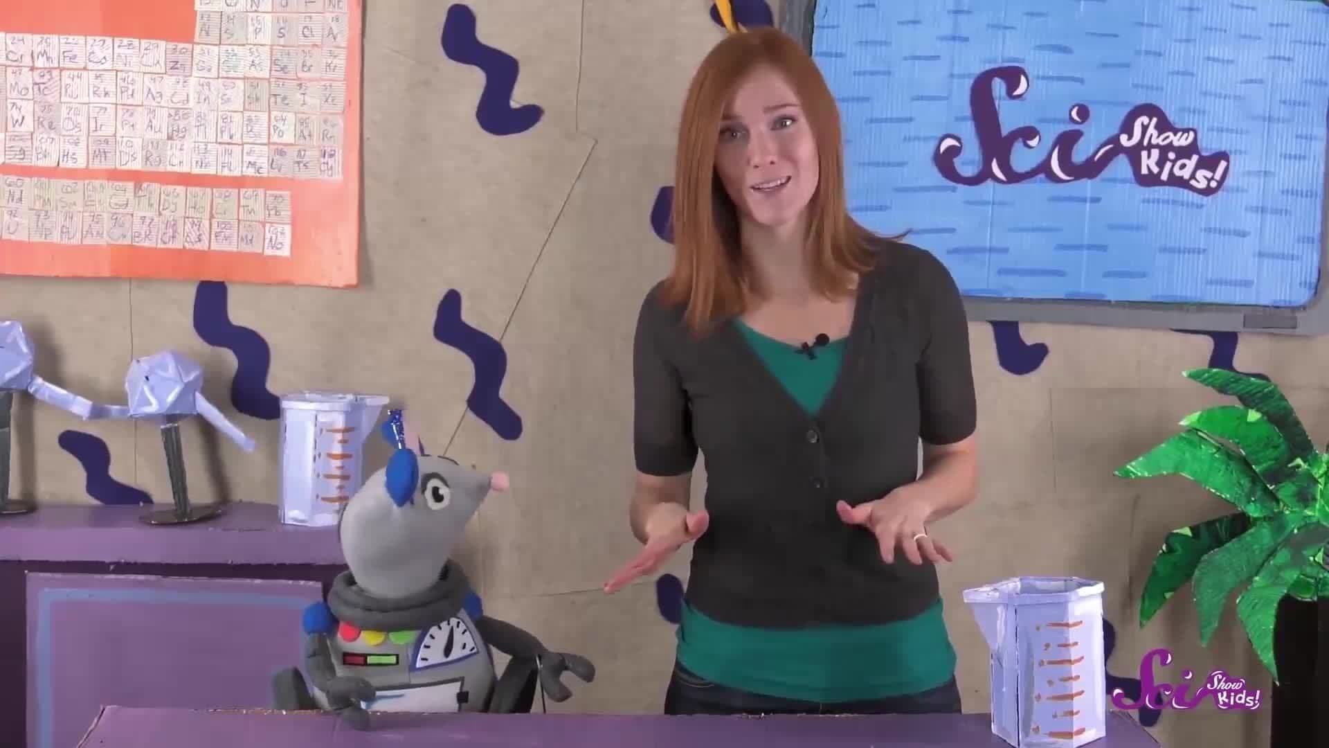 5 Animal Valentines! | Valentine's Day | A SciShow Kids Compilation