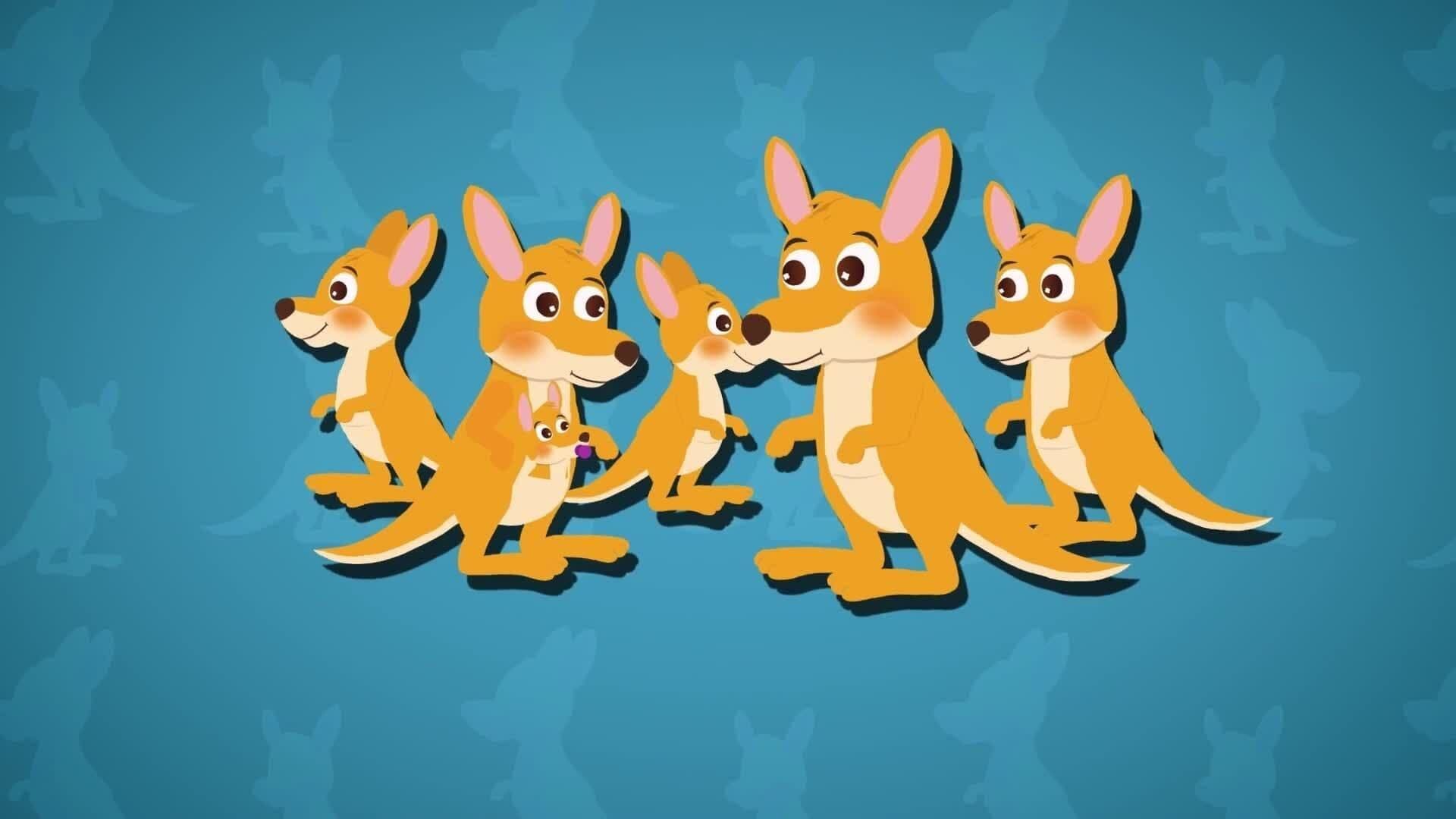 I WONDER - Why Do Kangaroos Live In Herds?