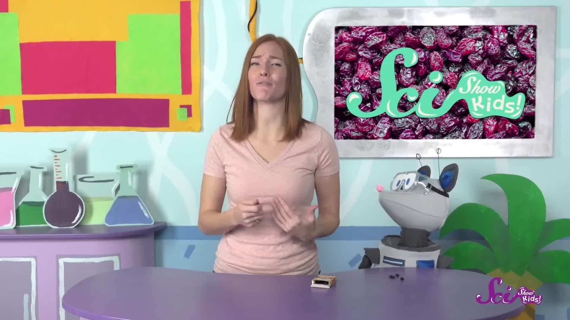 How Are Raisins Made?