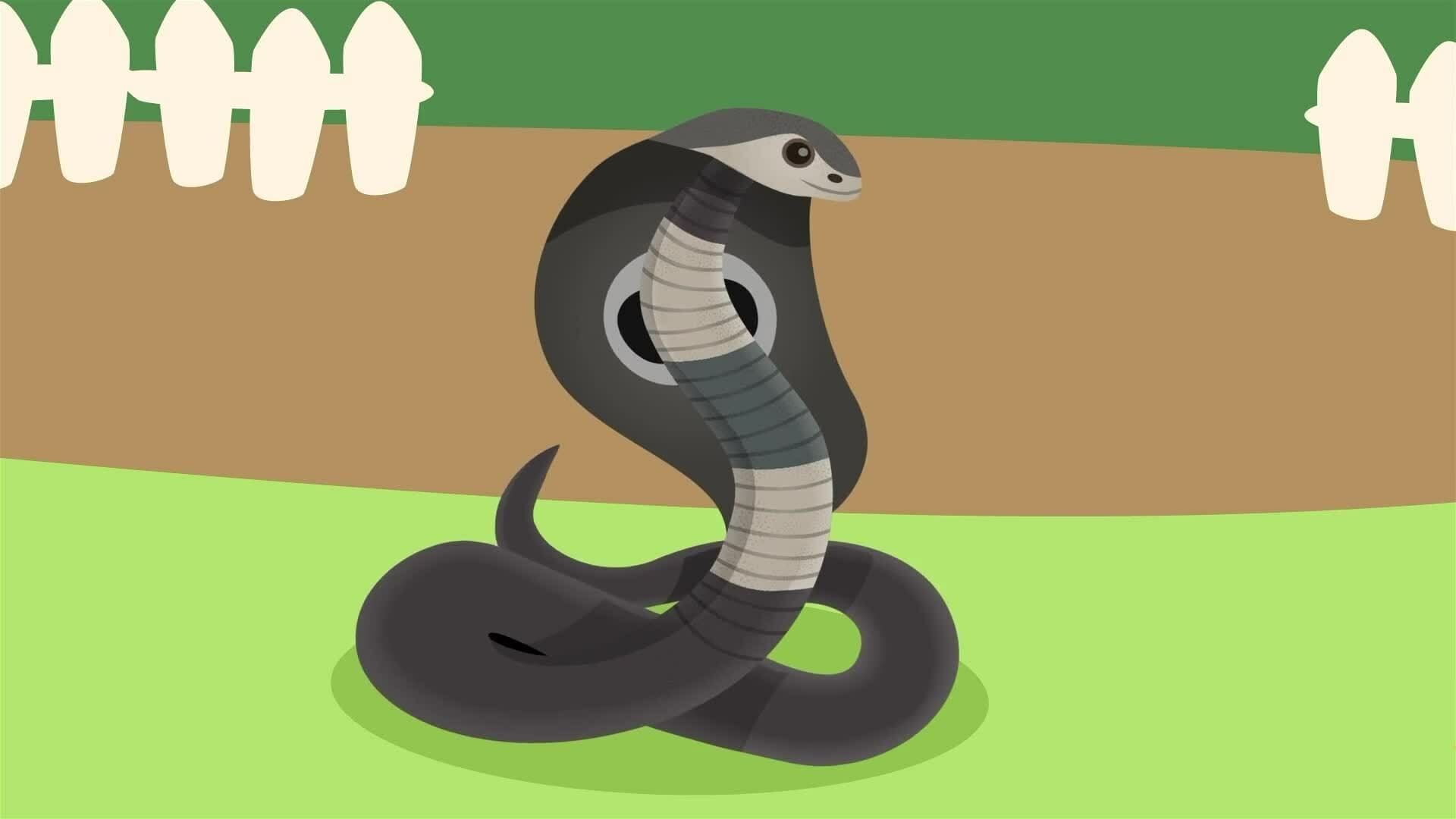 I WONDER - How Do Snakes Smell?