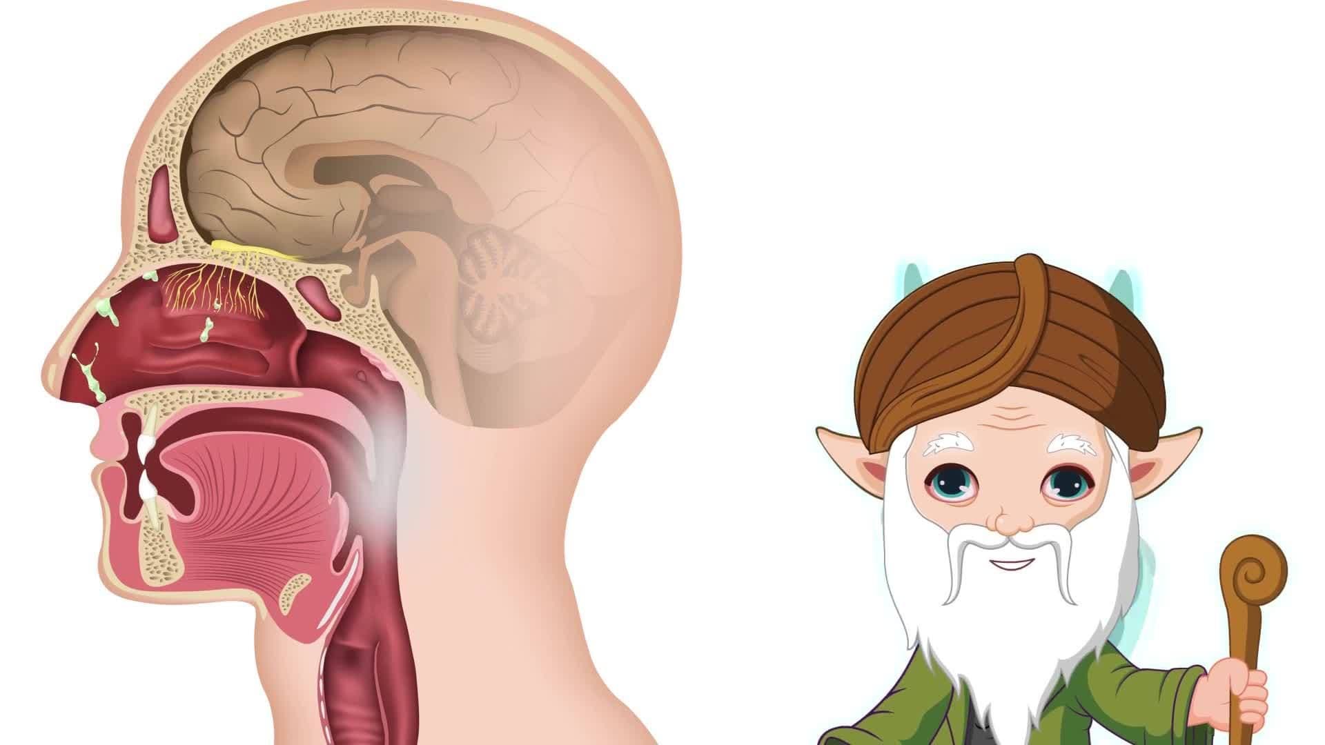 The Nose