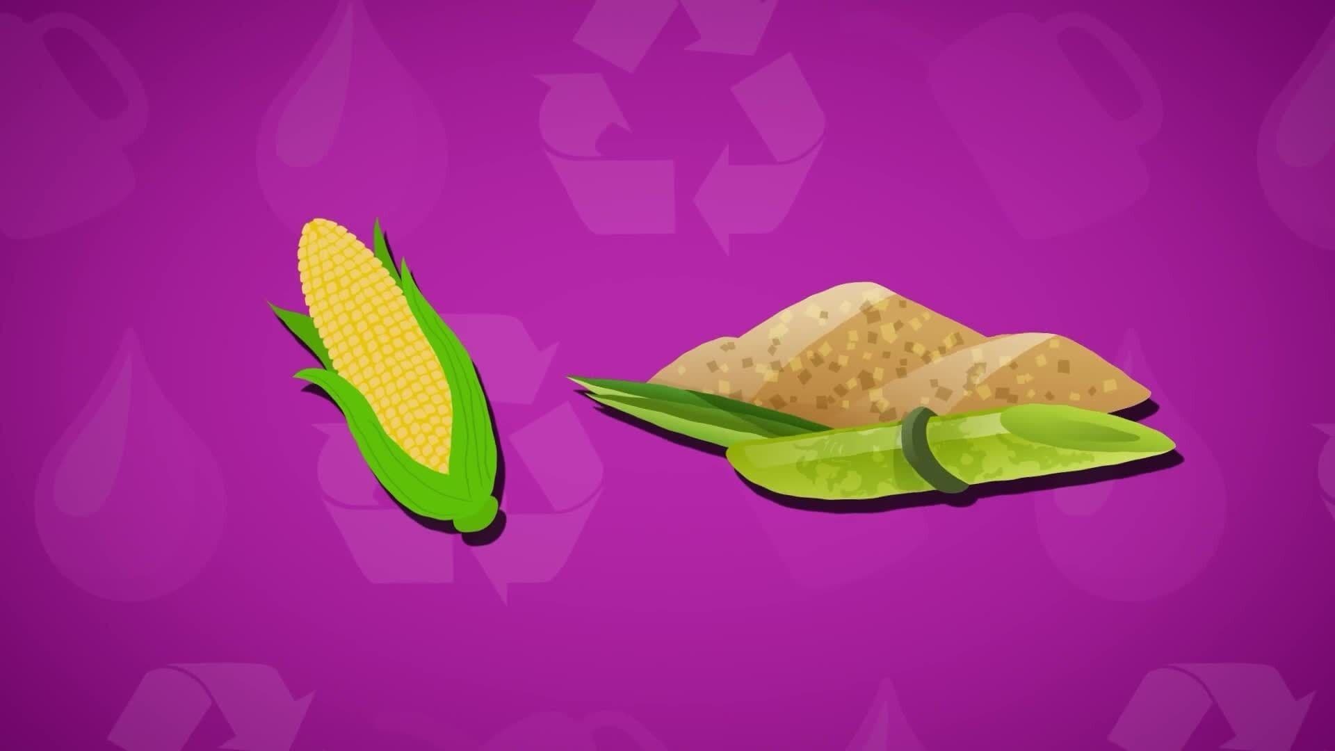 I WONDER - Where Do Biofuels Come From?