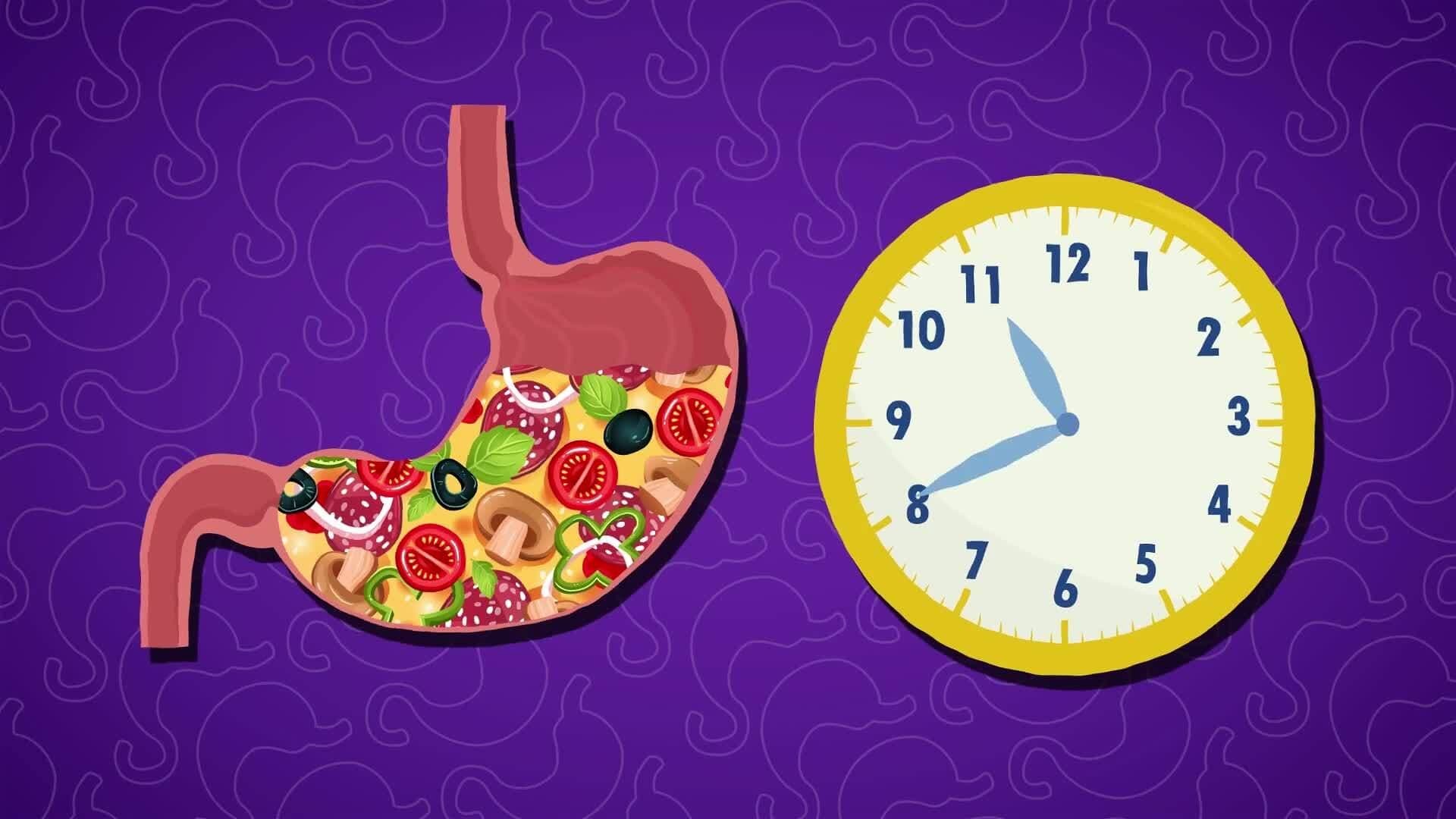 I WONDER - How Long Does It Take The Stomach To Empty?