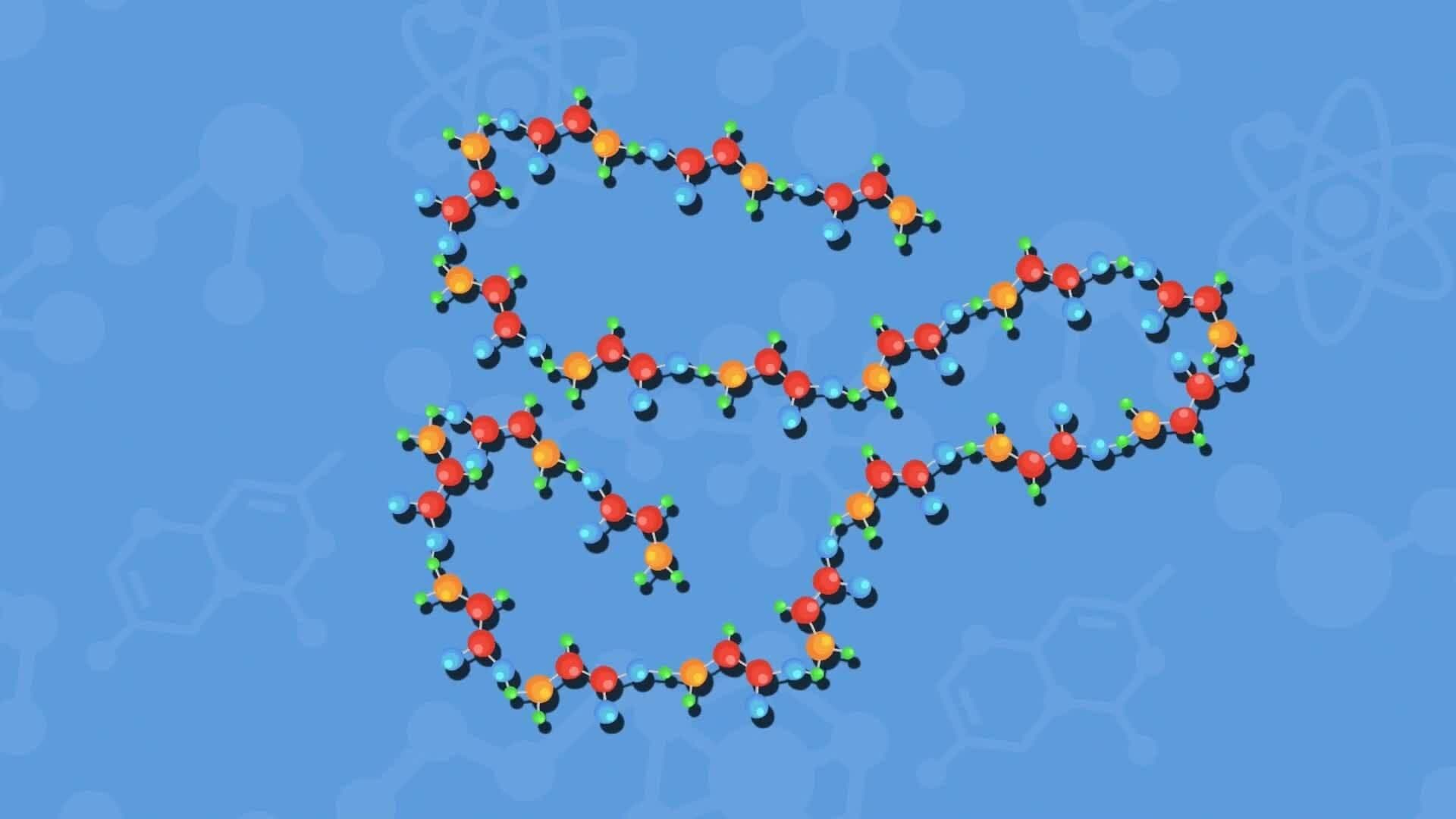 High Five Facts - Proteins