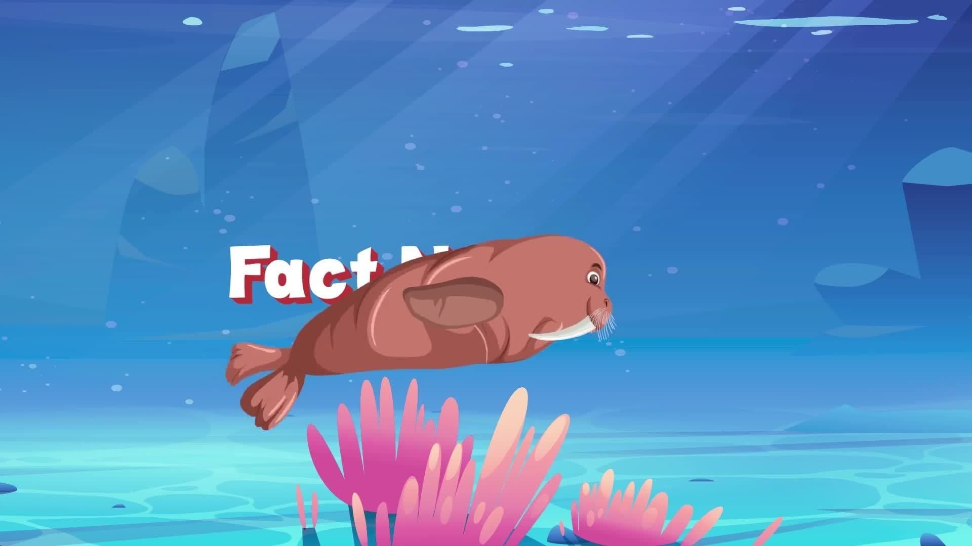 Walrus Facts for Kids