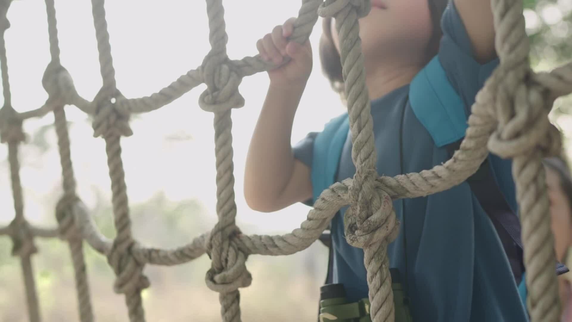 High Five Facts - Joints