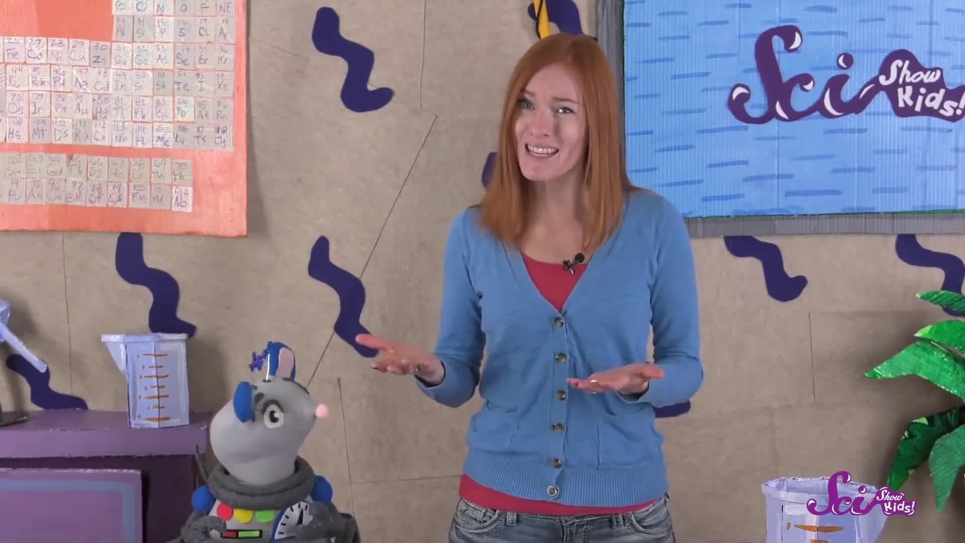 The World’s Tallest Tree! Science for Kids