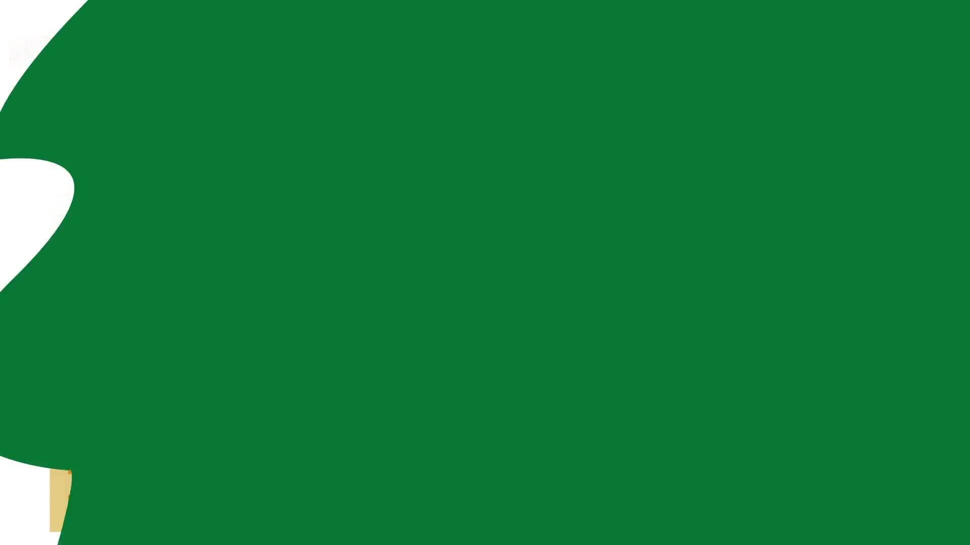 What Does the Government Do?