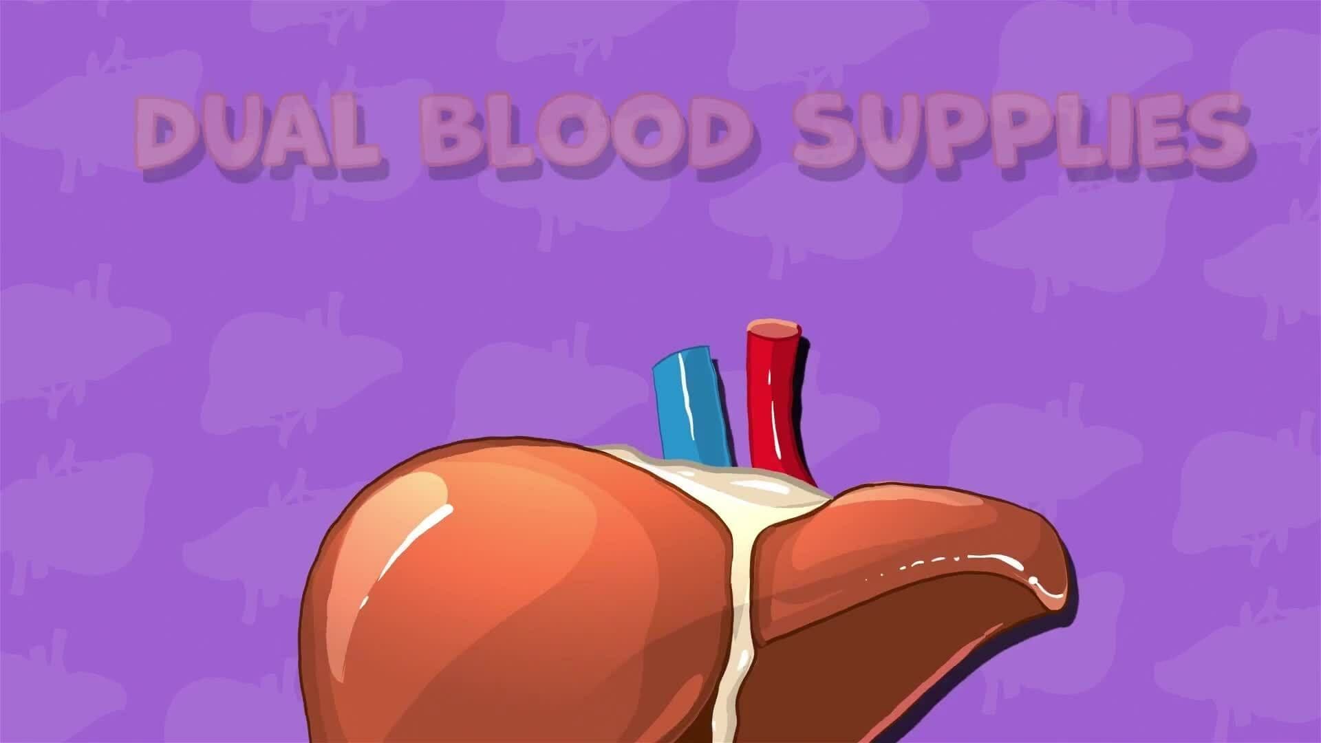 I WONDER - How Is Our Blood Cleaned?