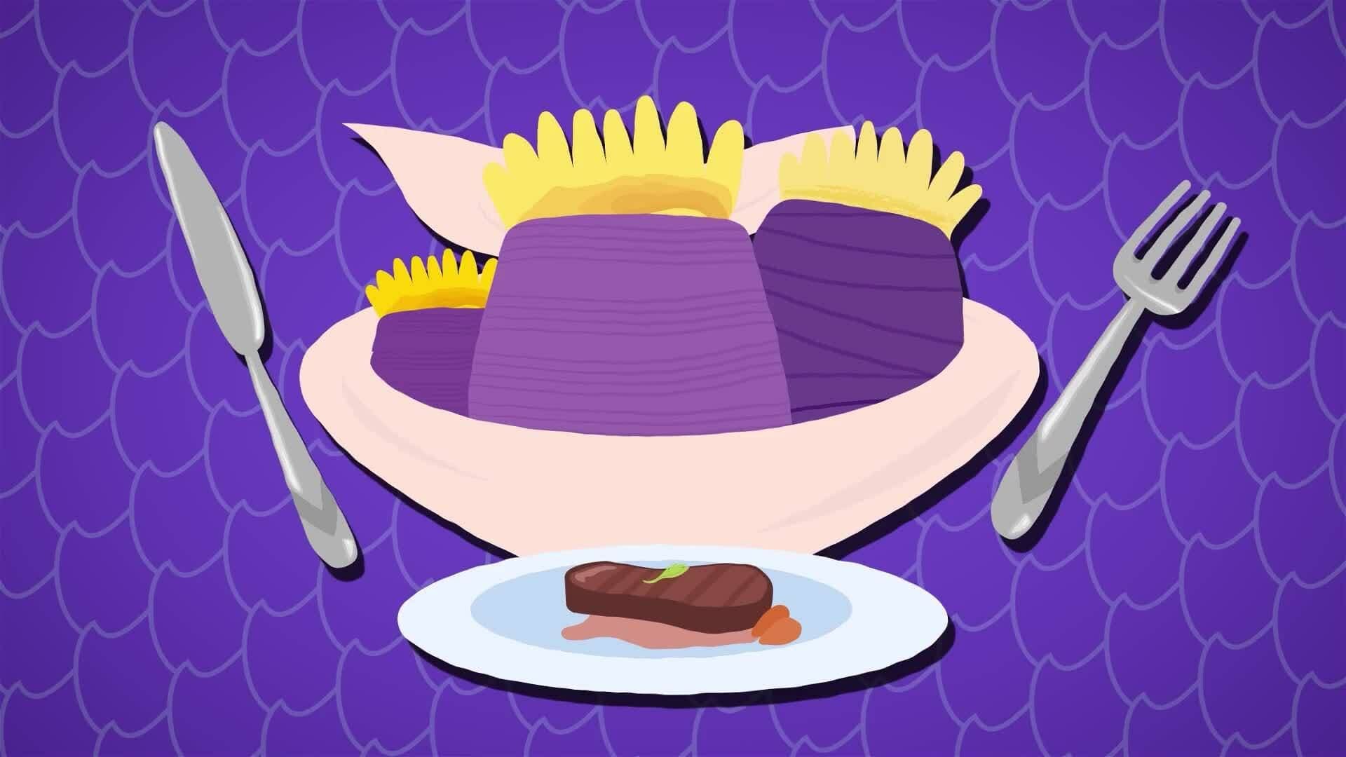 I WONDER - What Does Coral Eat?