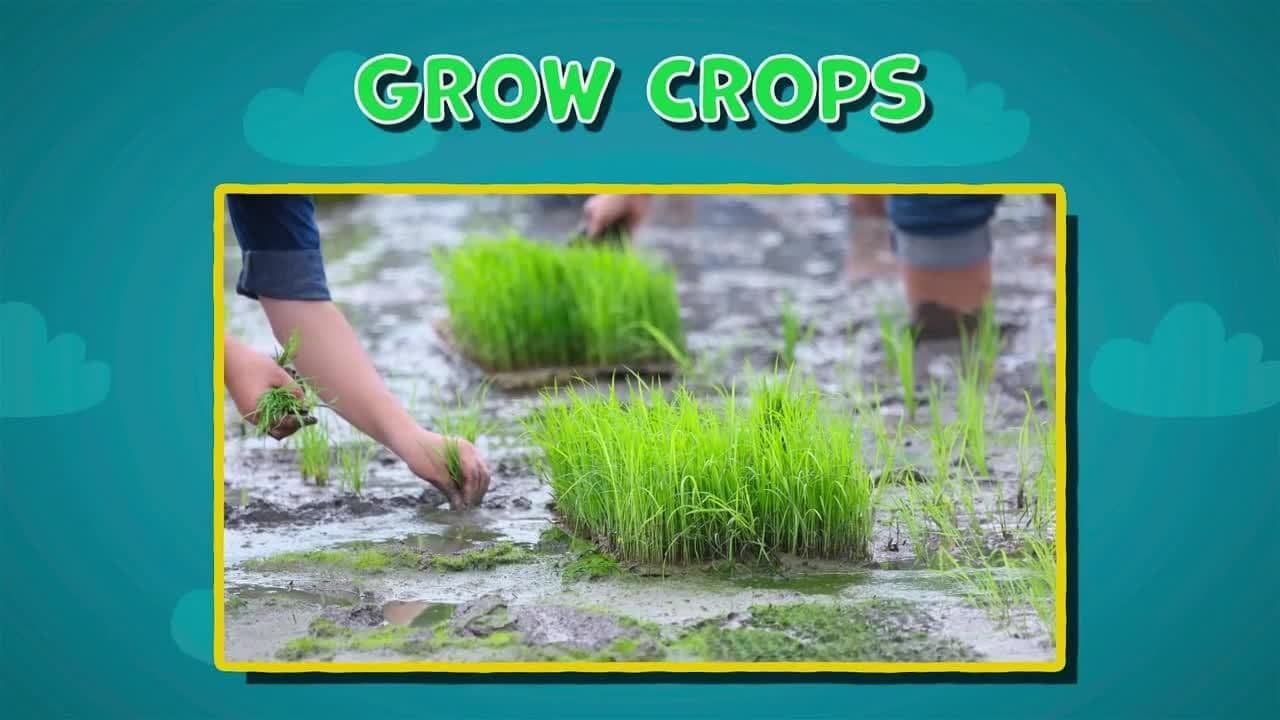 I WONDER - When Is Monsoon Season?