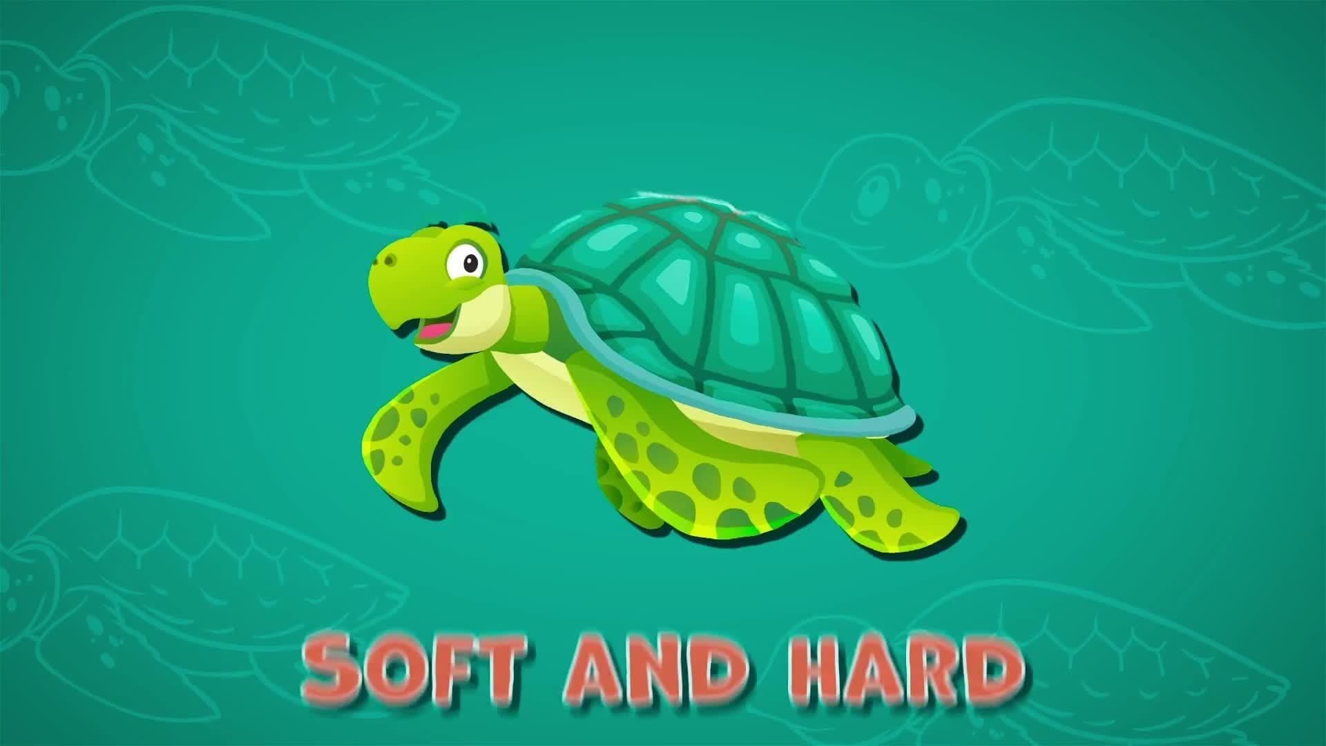 I WONDER - Do Turtles Have Bones?