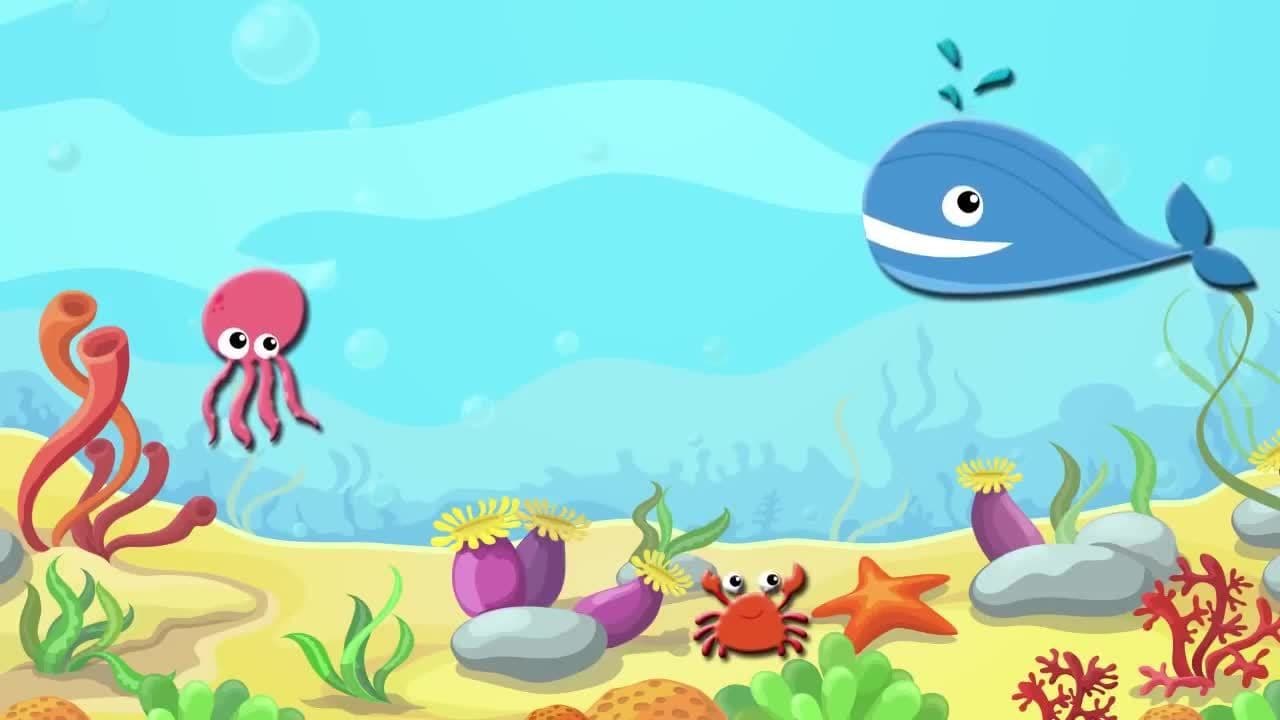 Cartoon Animals Video Collection for Kids