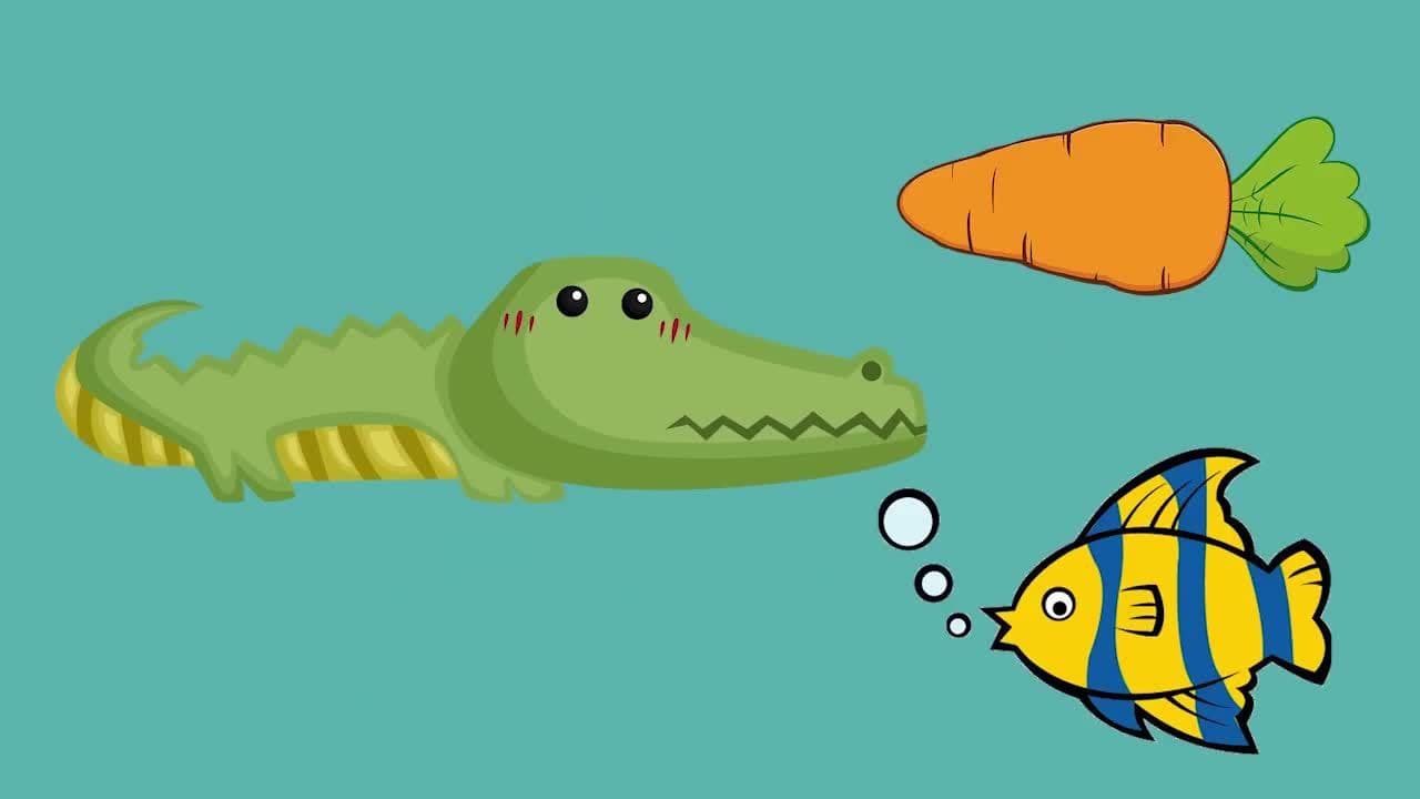 What do Jungle Animals Eat?