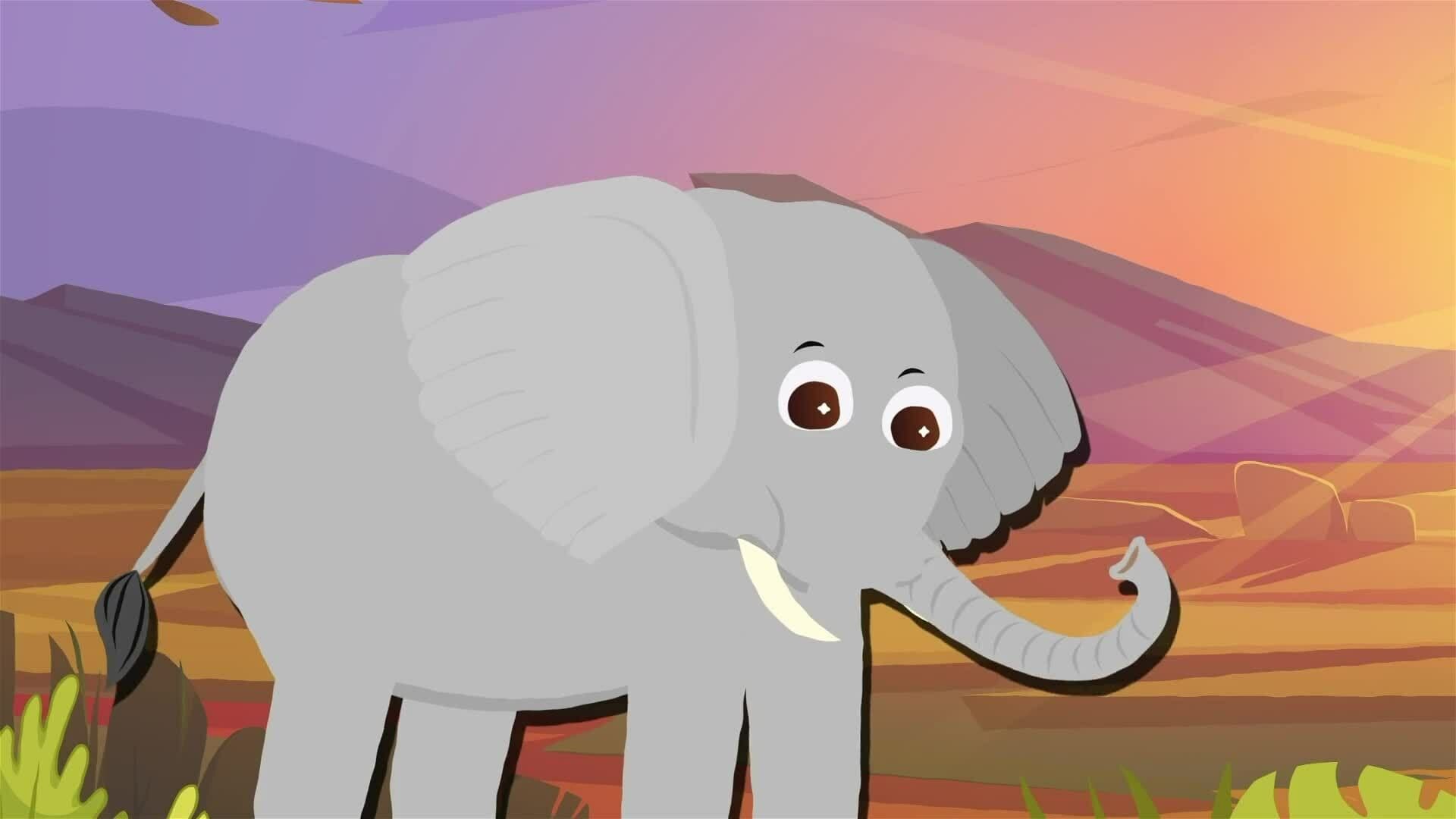 I WONDER - How Big Is An African Elephant?