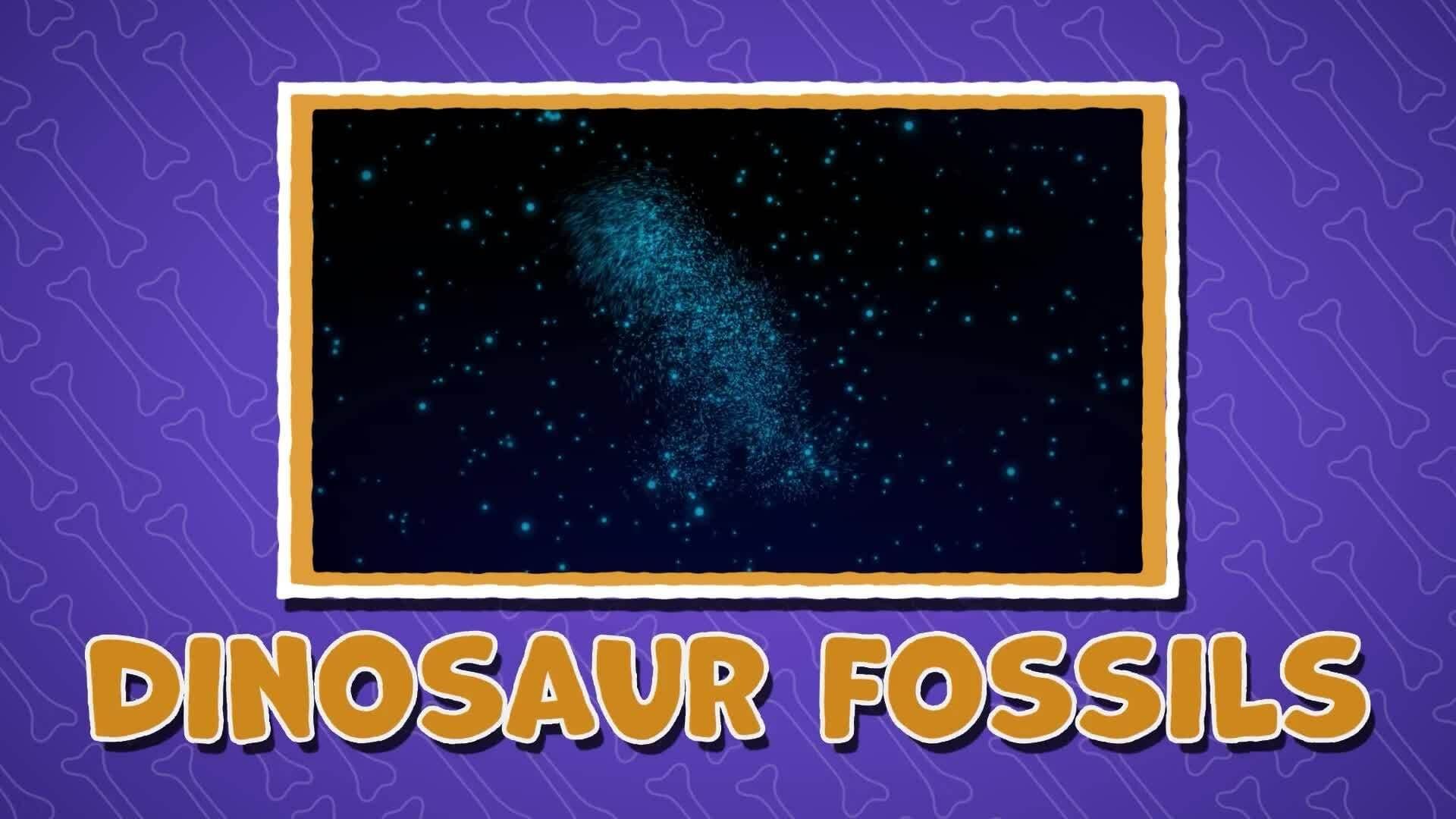 I WONDER - Why Are Fossils Useful?