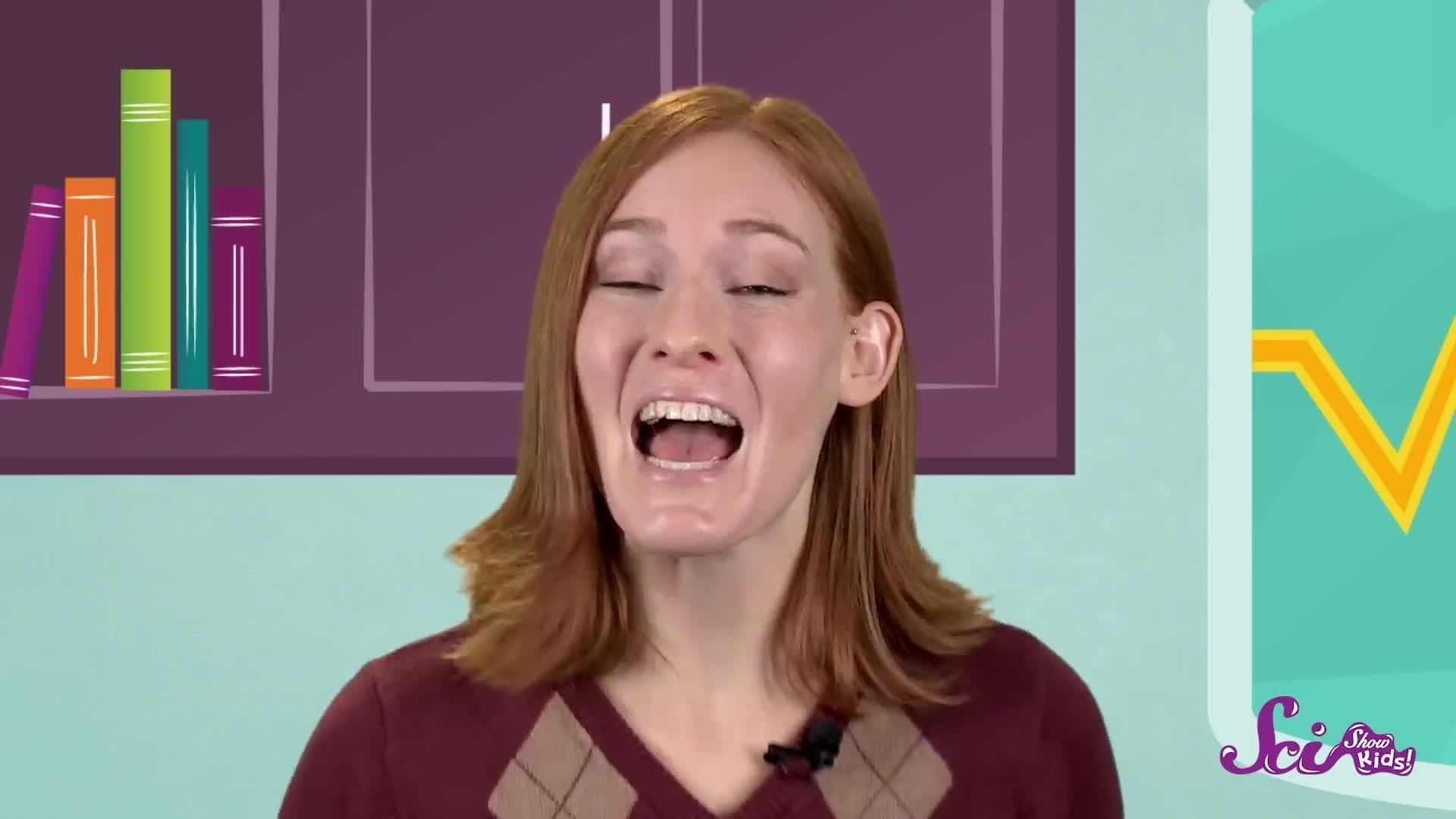 What is Sound?