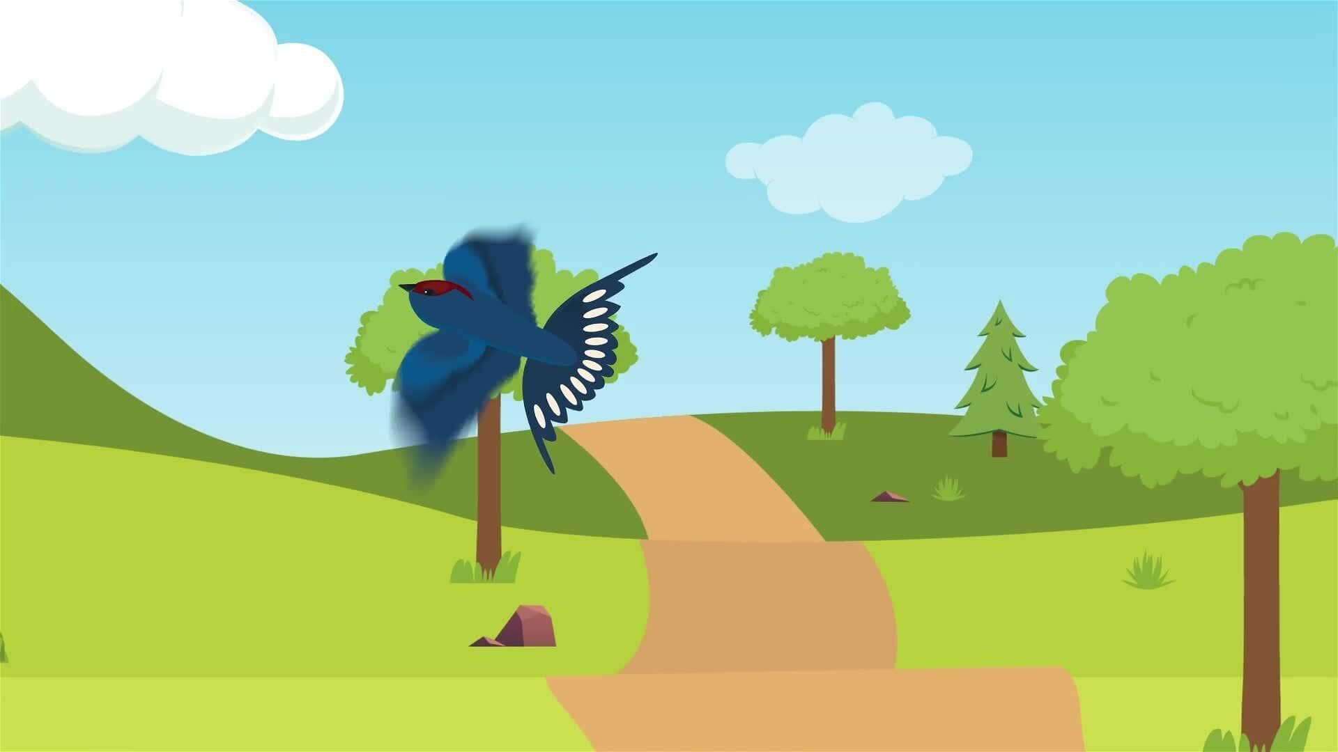 I WONDER - How Do Birds Fly?