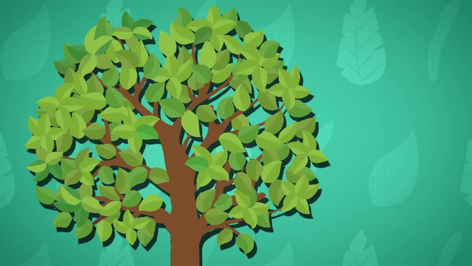 I WONDER - Why Are Leaves Green?