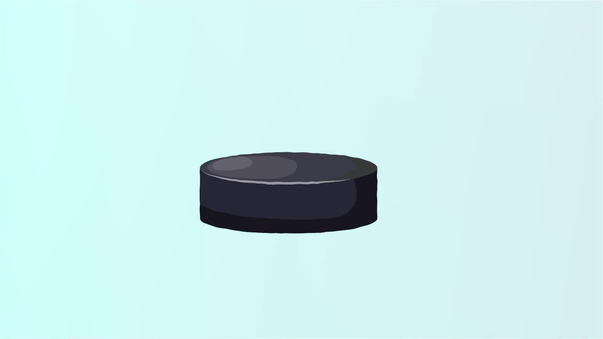 I WONDER - What Equipment Is Used To Play Hockey?