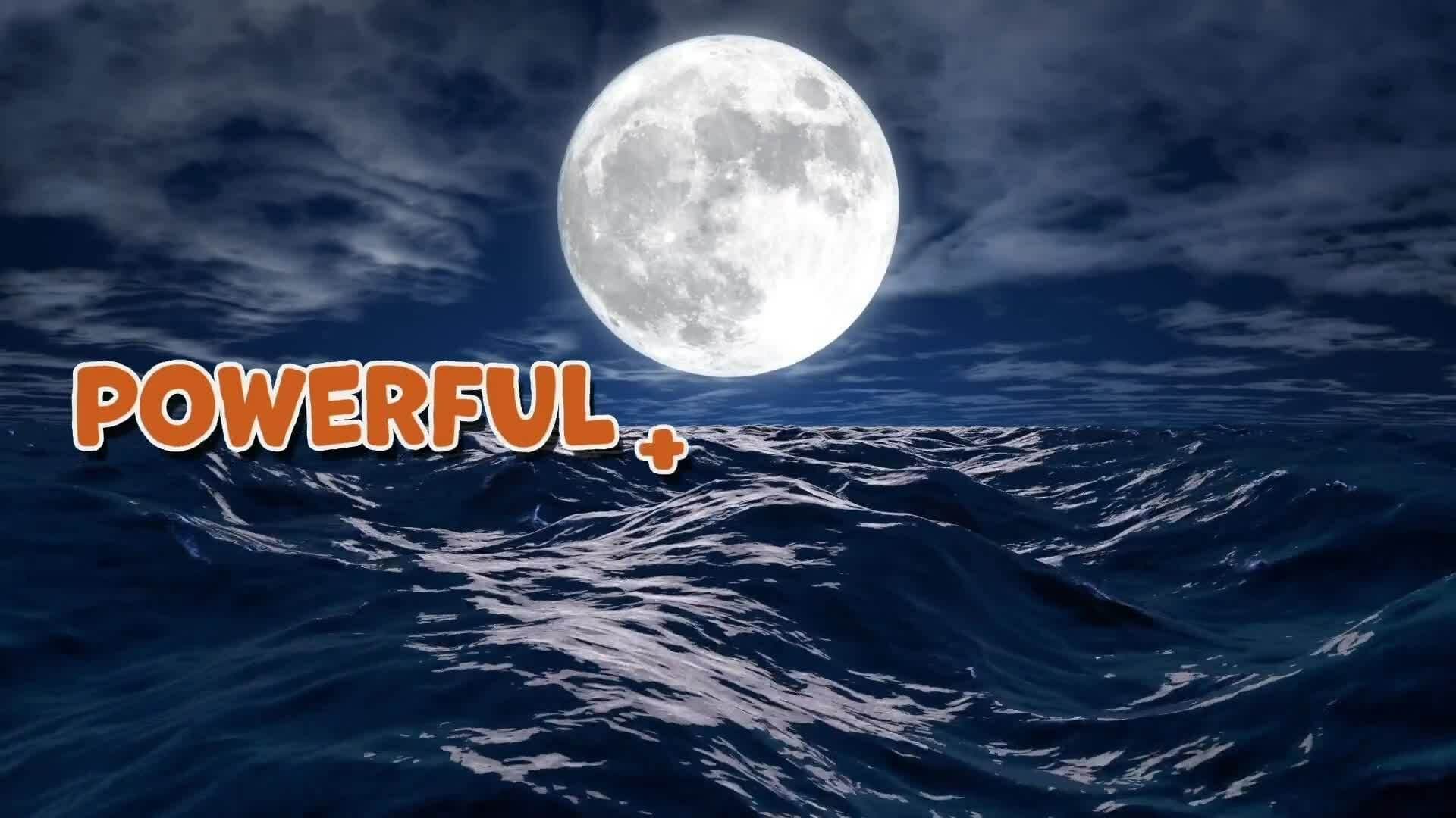 I WONDER - Where Do Selkies Live?