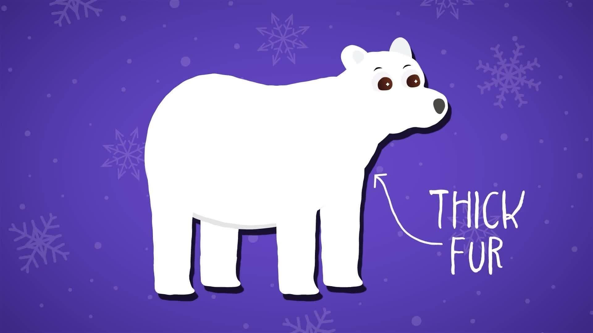 I WONDER - Can Animals Live In Polar Regions?