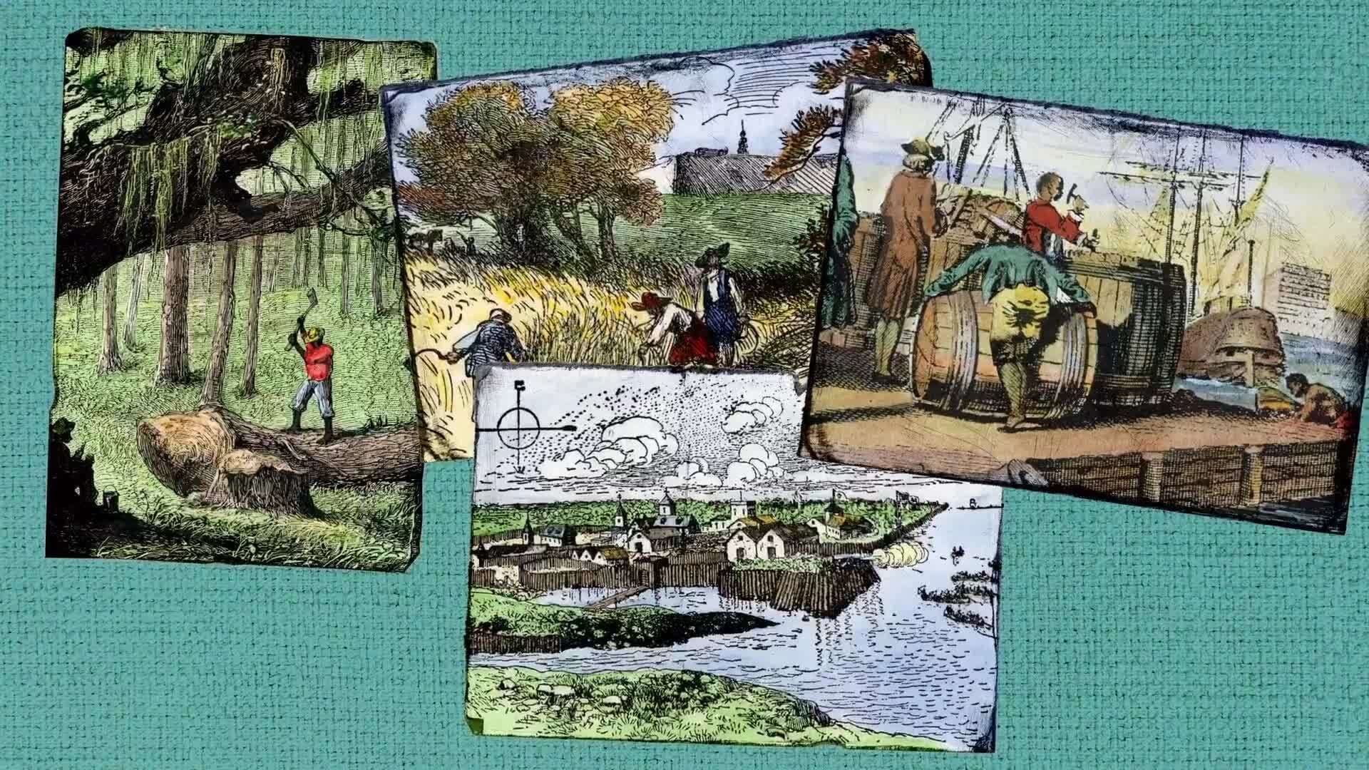 Slavery in the Colonies