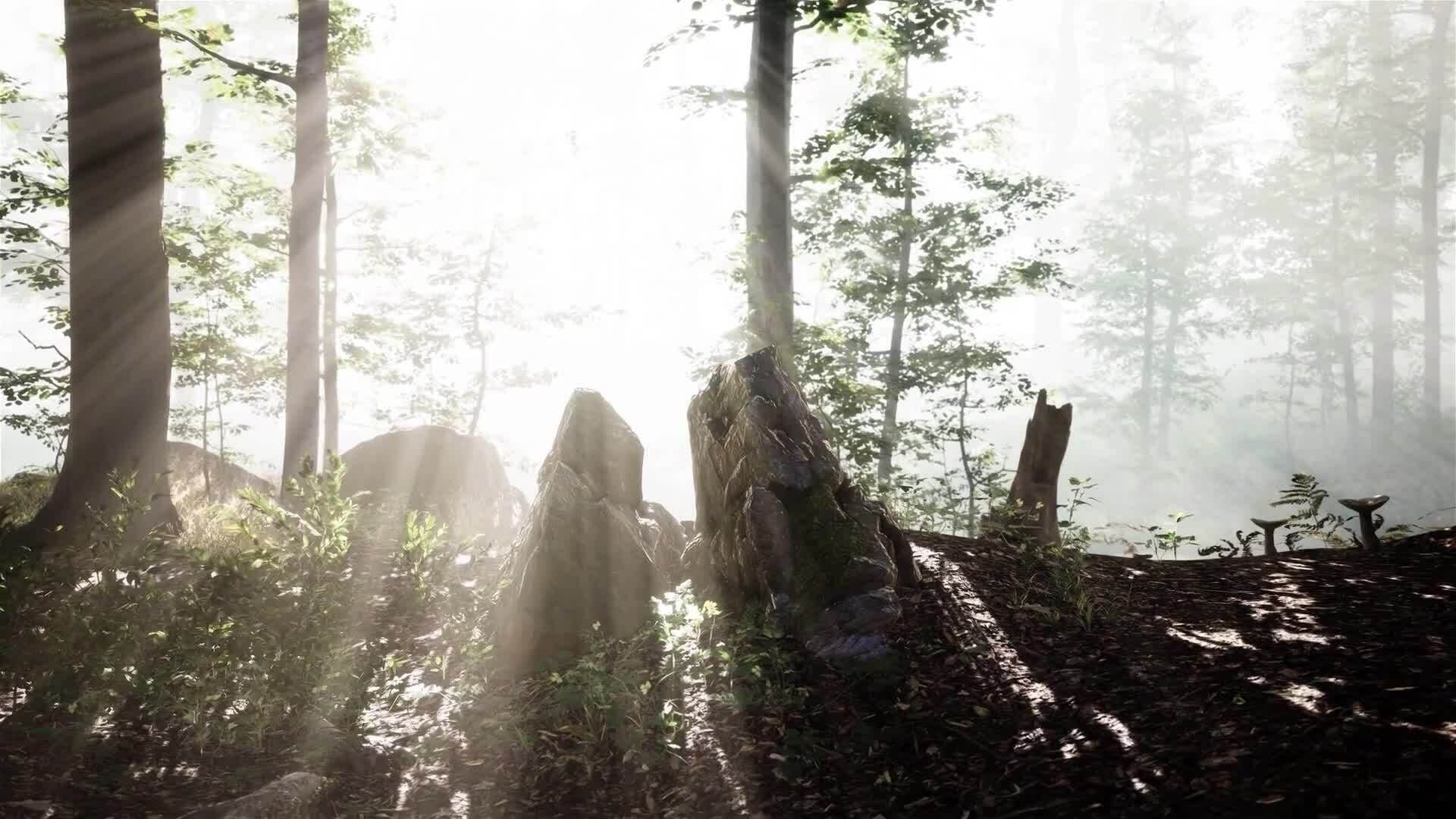 I WONDER - Can We Live Without The Sun?